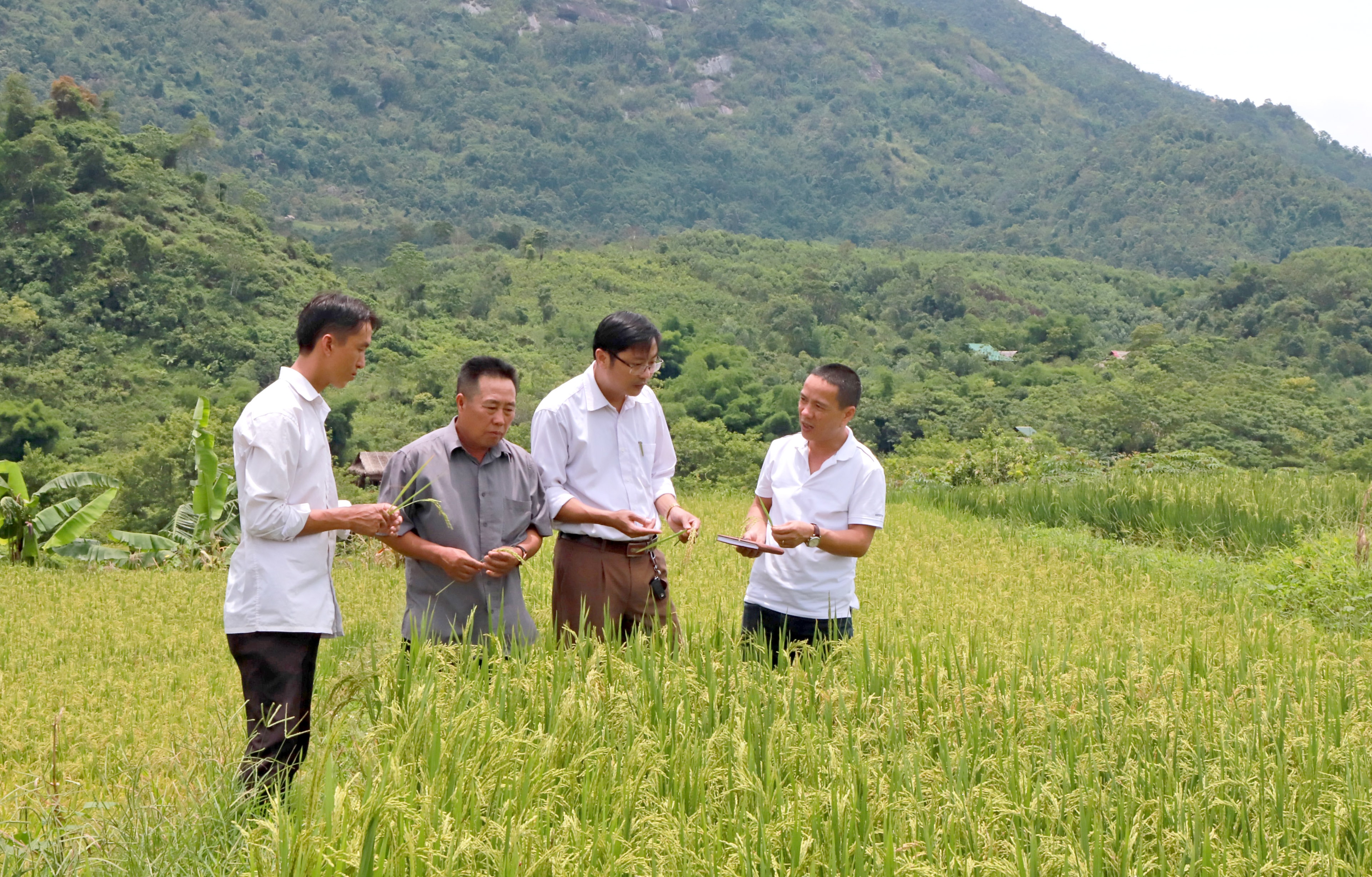 Lãnh đạo Đảng ủy xã Tri Lễ, huyện Quế Phong (thứ hai từ phải sang) trao đổi với người dân. Ảnh: Thành Duy