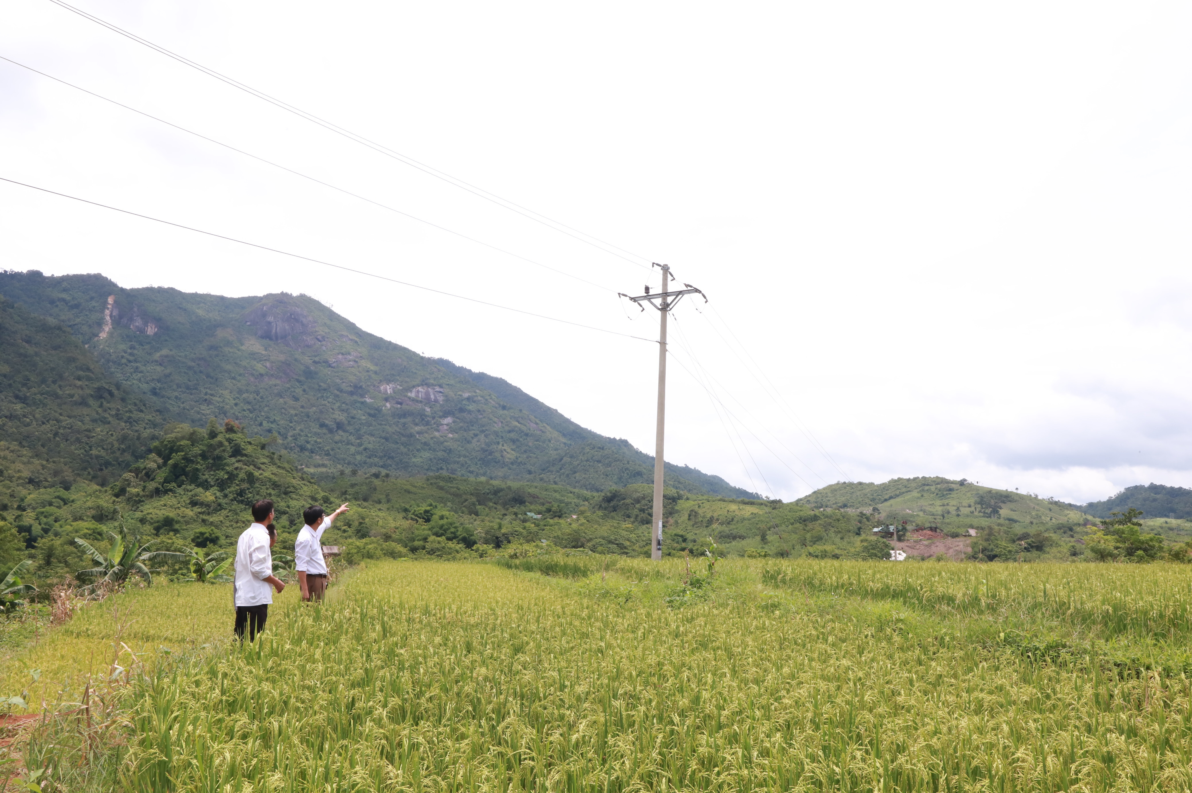 Ở xã Tri Lễ, huyện Quế Phong, mặc dù đã có đường điện chạy qua nhưng nhiều bản vẫn chưa có điện lưới quốc gia. Ảnh: Thành Duy