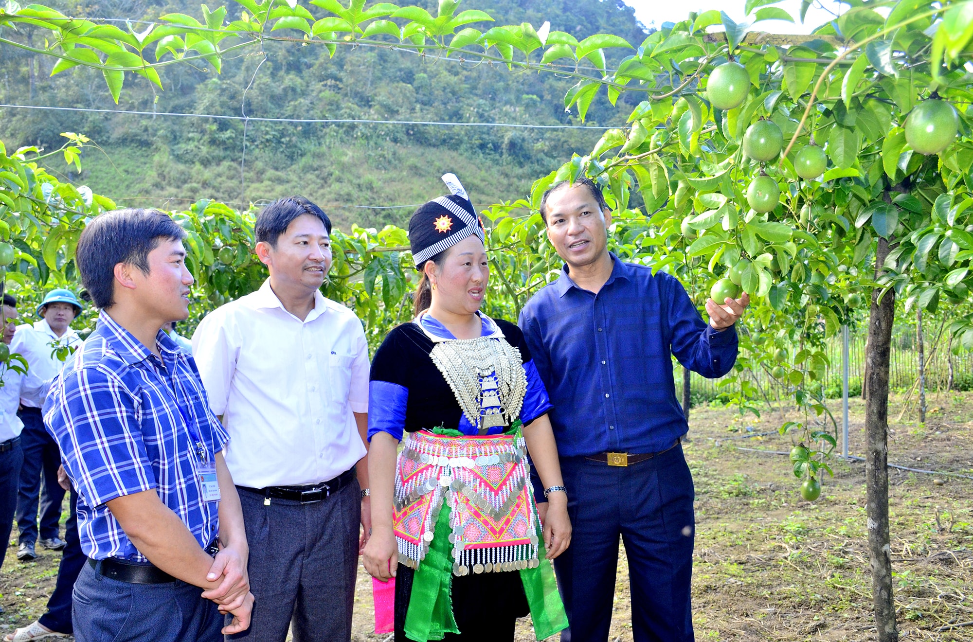 Bí thư Huyện ủy Kỳ Sơn Vi Hòe (ngoài cùng bên phải) trao đổi với người dân xã Mường Lống về mô hình trồng chanh leo. Ảnh: Thành Duy