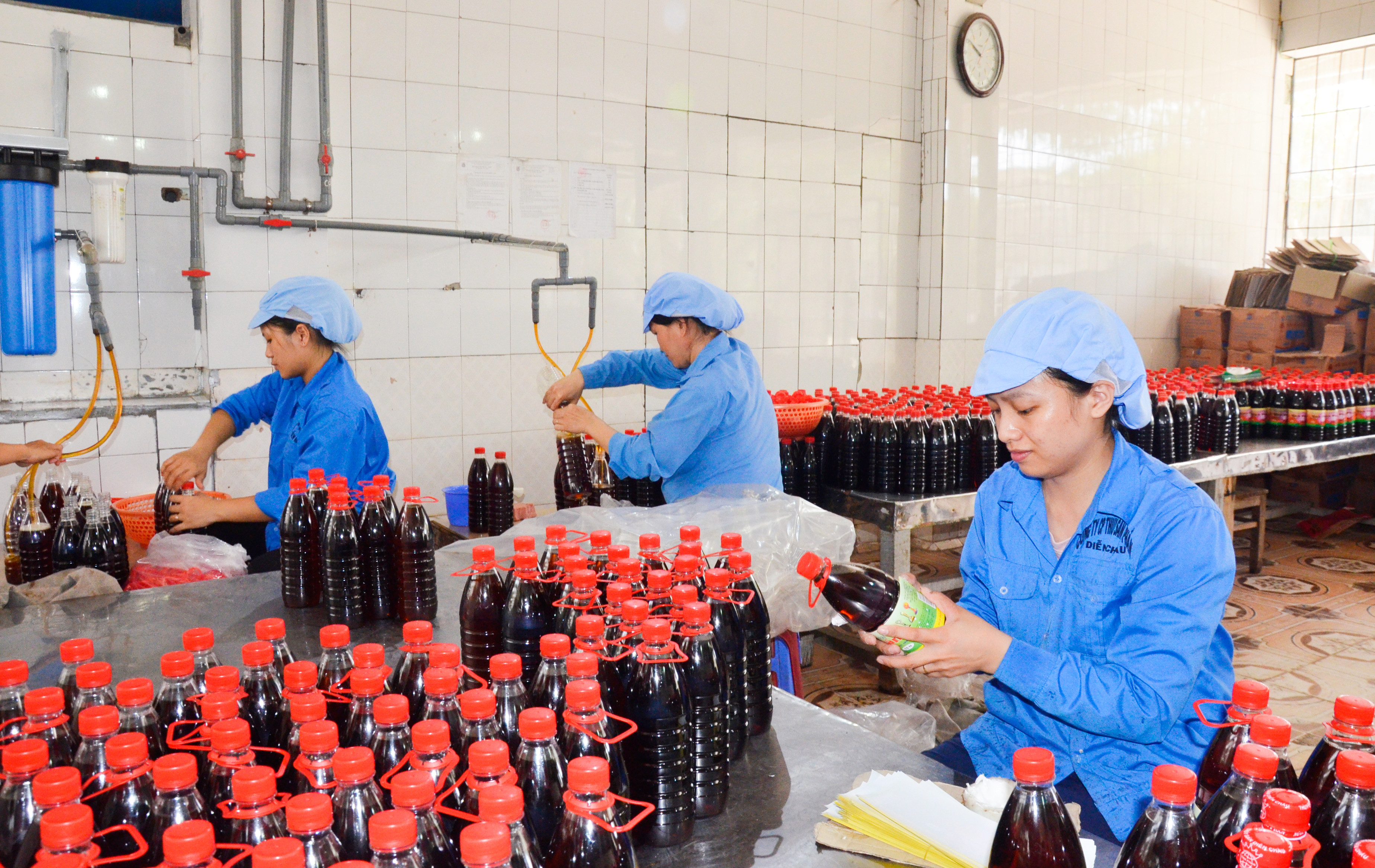 Sản xuất chế biến nước mắm tại Nghệ An. Ảnh: Thanh Lê