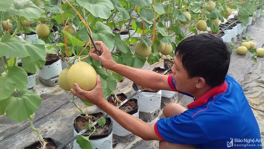 Một nhiệm vụ tuyên truyền trọng tâm là đẩy mạnh thực hiện nhiệm vụ phát triển kinh tế - xã hội. Ảnh tư liệu