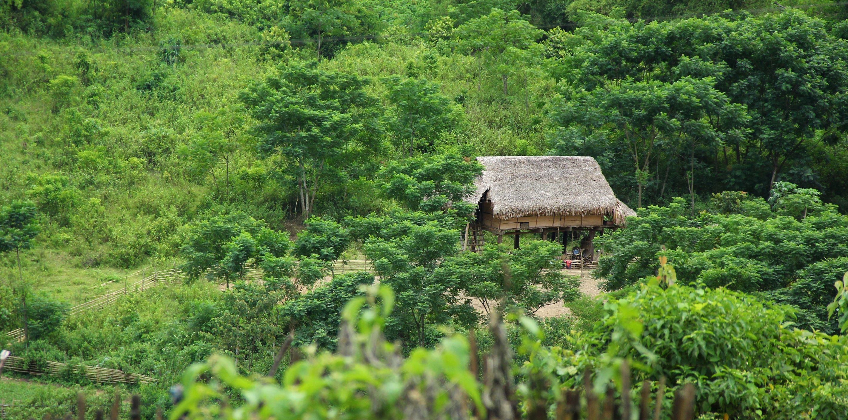 Tộc người Đan Lai đang 