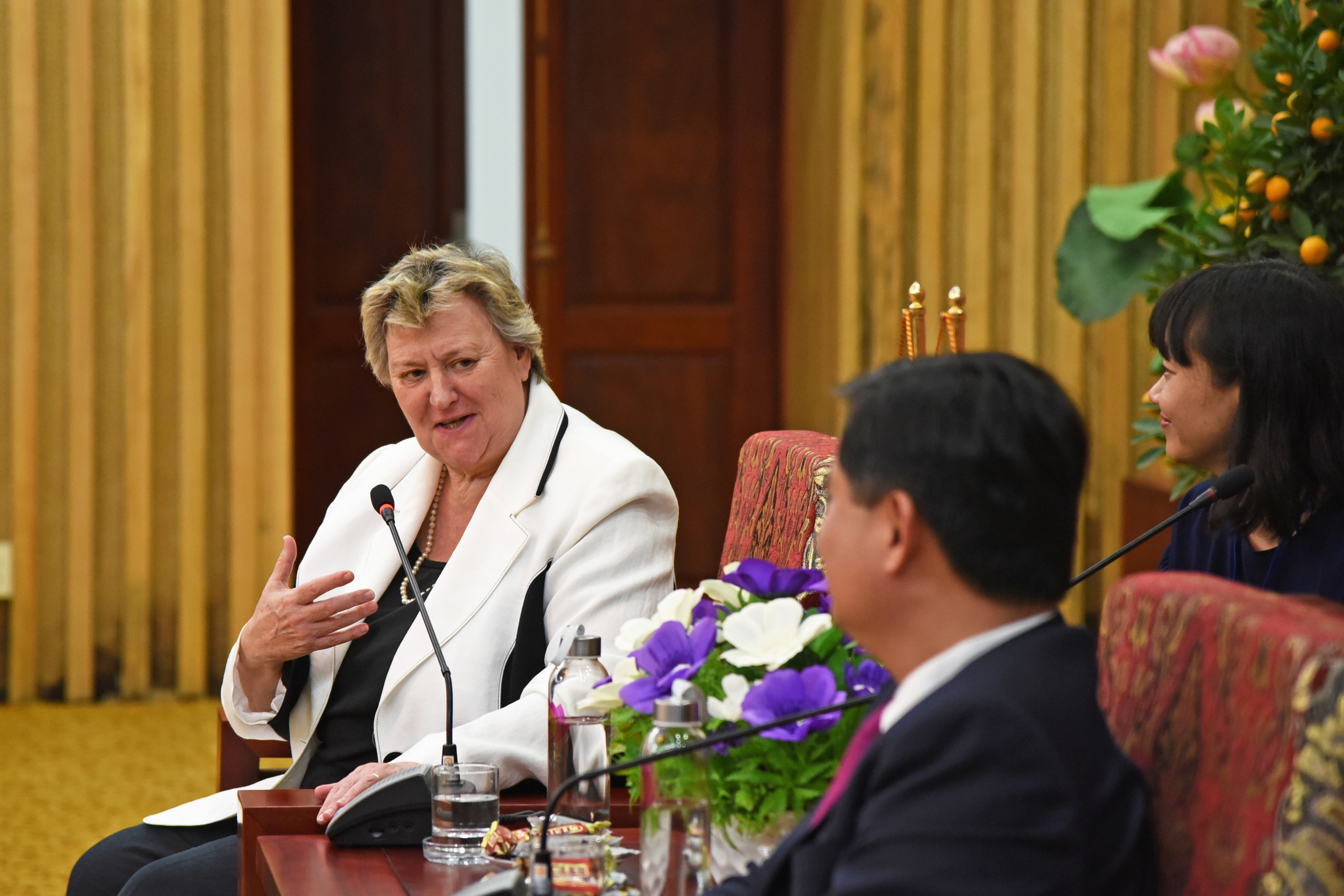 Bà Heather Wheeler - Nghị sỹ, Thứ trưởng Ngoại giao Anh trao đổi với Chủ tịch UBND tỉnh Nghệ An. Ảnh: Thu Giang