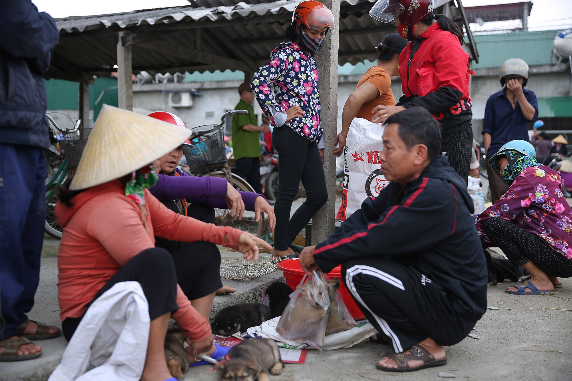 Ở khu vực bán chó con, không chỉ có người dân bản địa mà còn rất đông người dân từ các huyện Yên Thành, Đô Lương… tìm đến để mua bán.
