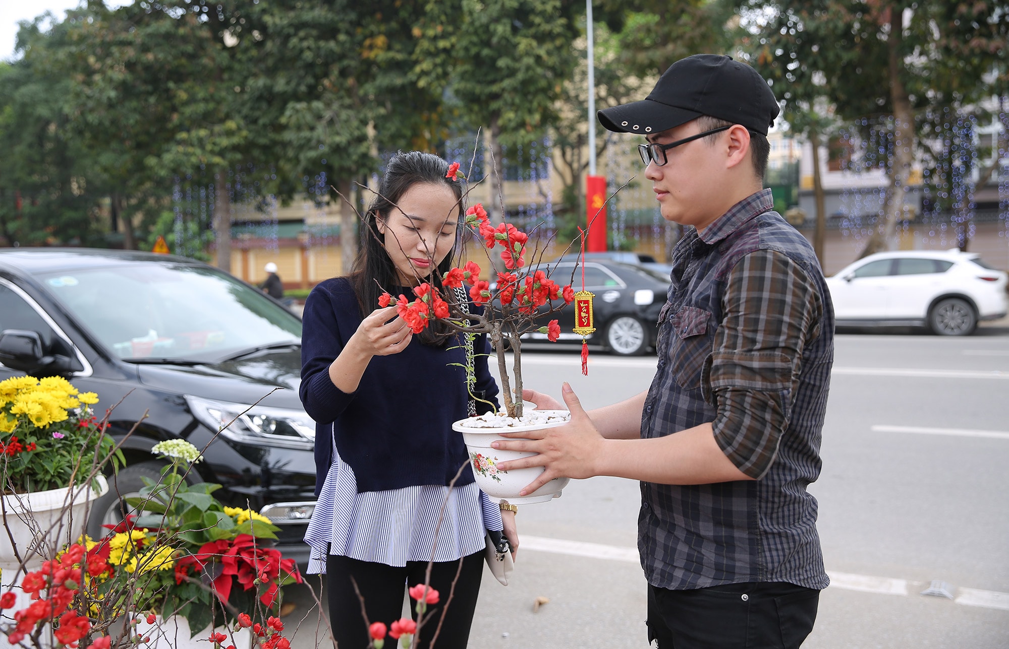 Những chậu mai đỏ đã xuất hiện tại Thành Vinh trong vài năm nay và được người dân mua về để bàn chưng Tết. Giá cây mai đỏ mini này cũng khá 