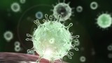 Virus Corona và những điều cần biết