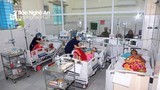 Việt Nam thành lập Đội phản ứng nhanh chống dịch viêm phổi do virut corona