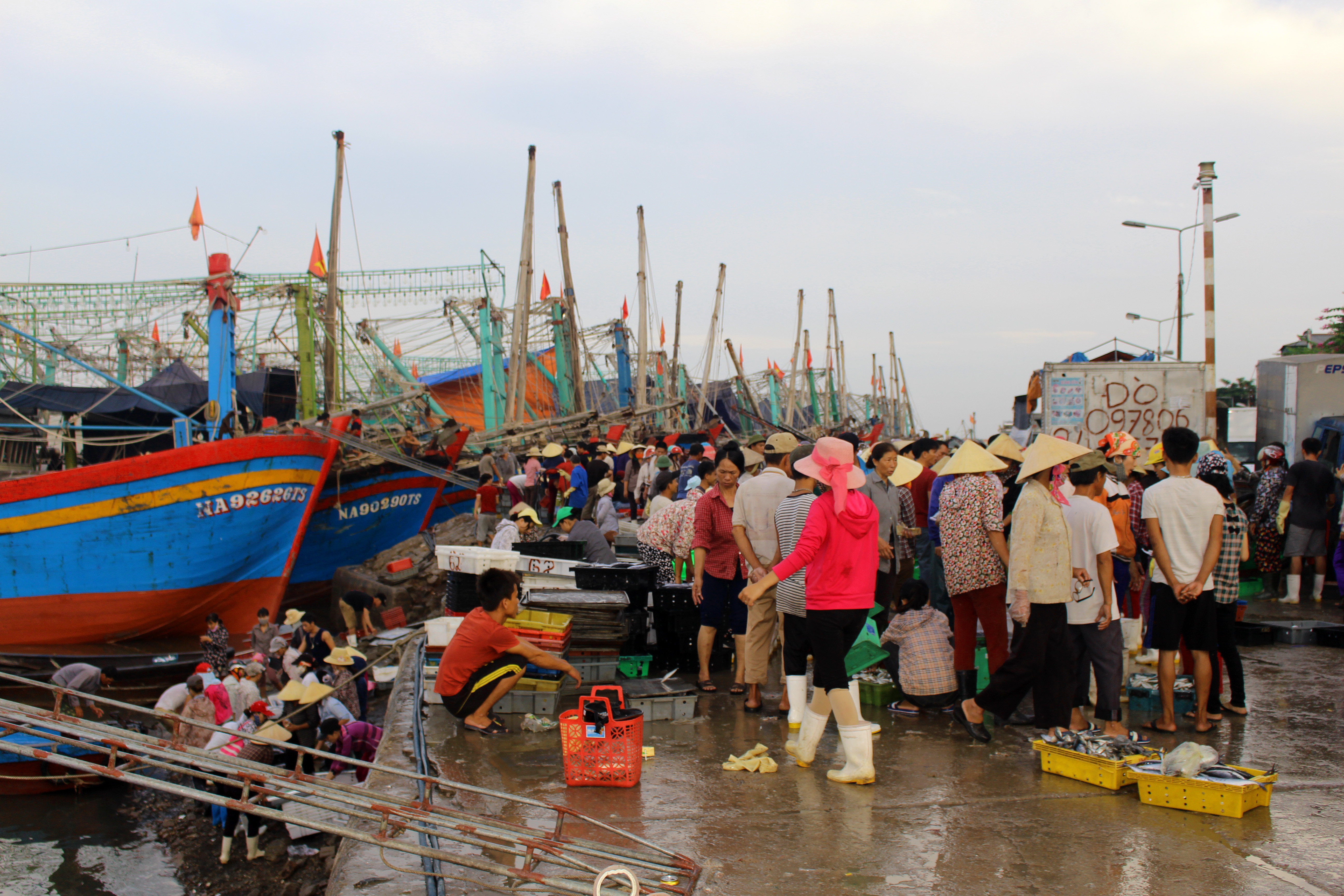 Quỳnh Lưu co gần 1.200 phương tiện tàu cá, trong đó có khoảng 700 tàu có công suất từ 90 CV trở lên. Năm 2020, toàn huyện phấn đấu khai thác đạt sản lượng hơn 74.000 tấn hải sản.