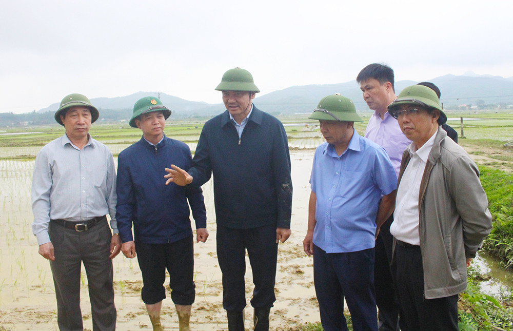 Đồng chí Phó Chủ tịch UBND tỉnh yêu cầu huyện Thanh Chương tập trung chỉ đạo sử dụng tiết kiệm nước trong sản xuất vụ Xuân. Ảnh: Phú Hương