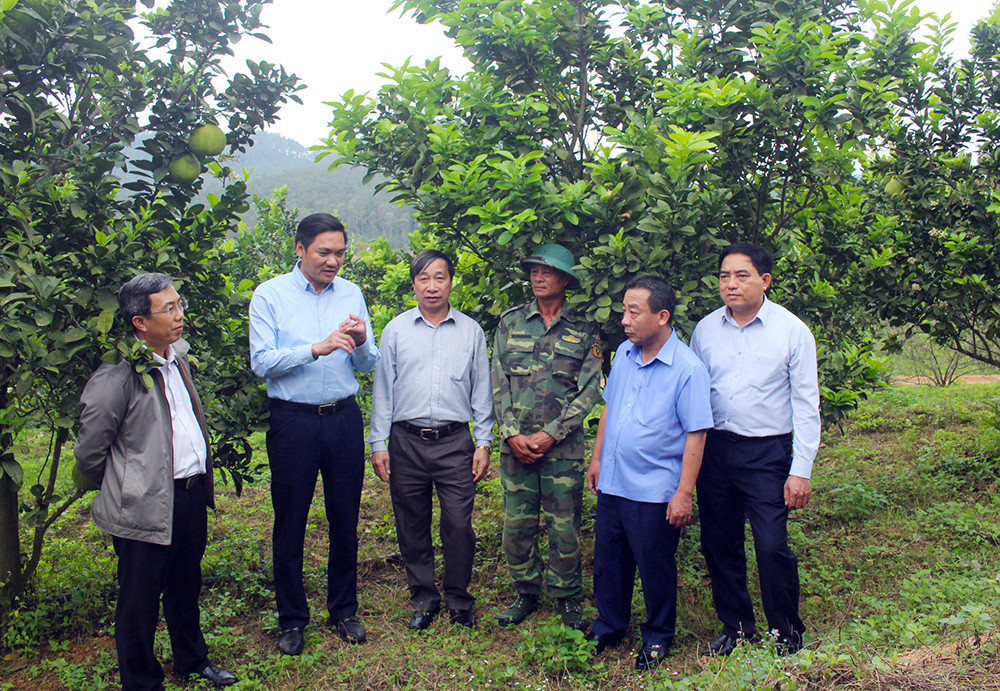 Thăm vườn cây ăn quả kết hợp du lịch sinh thái tại xã Nam Nghĩa, huyện Nam Đàn. Ảnh: Phú Hương