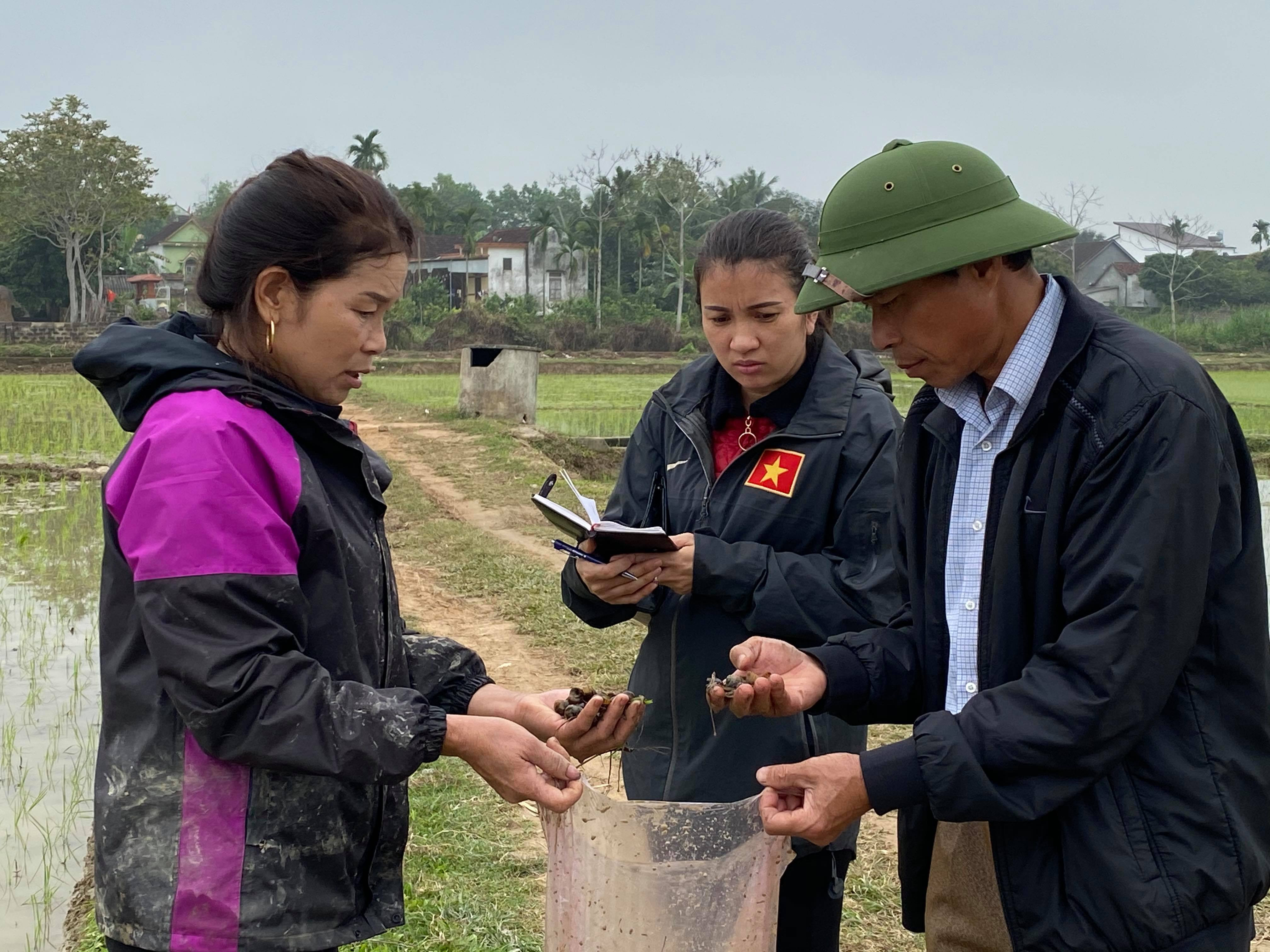 Cán bộ xã.... hướng dẫn bà con nông dân cách phòng trừ ốc bươu vàng. Ảnh: Minh Thái