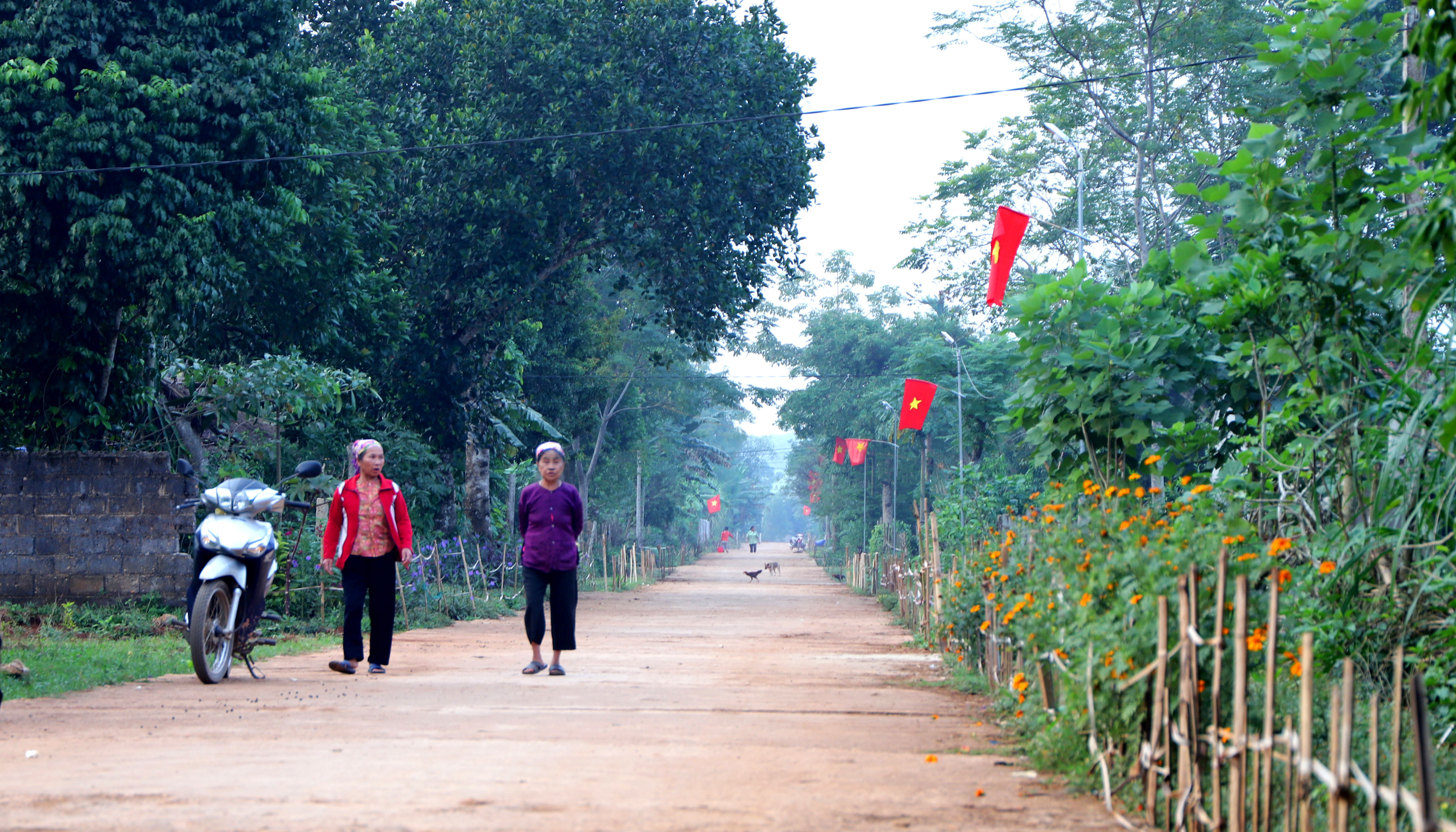 Khung cảnh yên bình của xóm Lung Thượng, xã Nghĩa Lợi, huyện Nghĩa Đàn. Ảnh: Thành Duy 