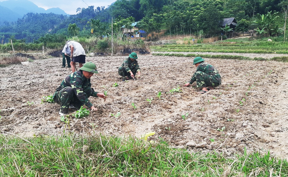 Bộ đội Biên phòng Hạnh Dịch giúp người dân phát triển vườn rau xanh. Ảnh: Hải Thượng