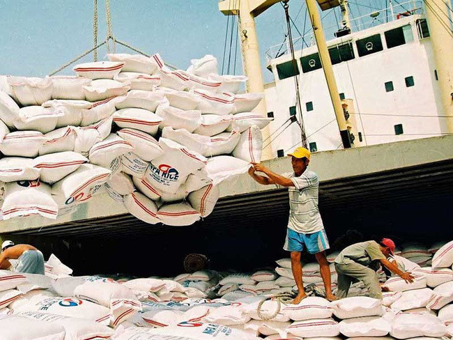 Xuất khẩu gạo Việt Nam kỳ vọng tăng trưởng mạnh trong năm nay