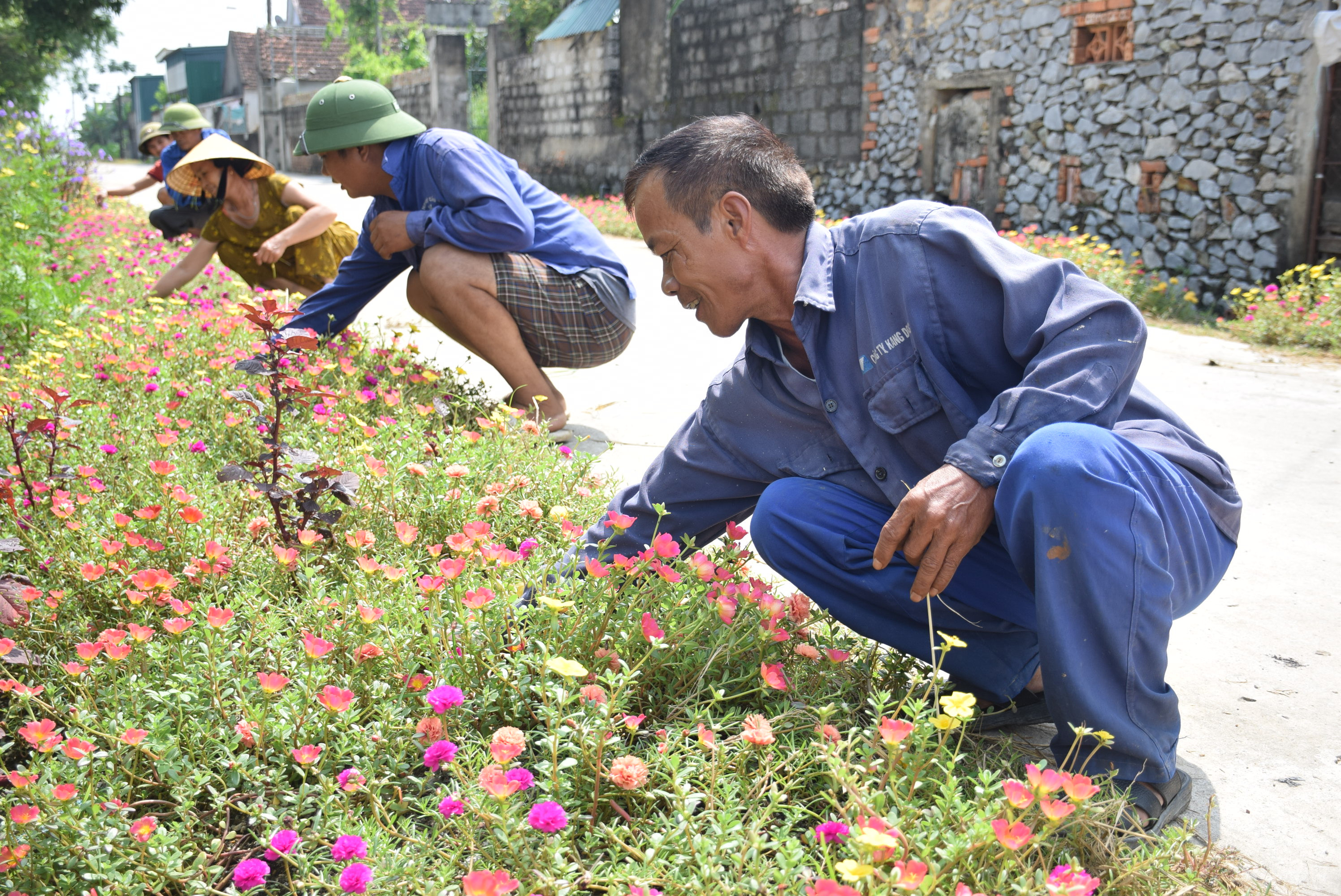 Nhiều nơi, bà con đua nhau trồng hoa, tạo nên những con đường nông thôn đẹp hơn. Ảnh: Xuân Hoàng