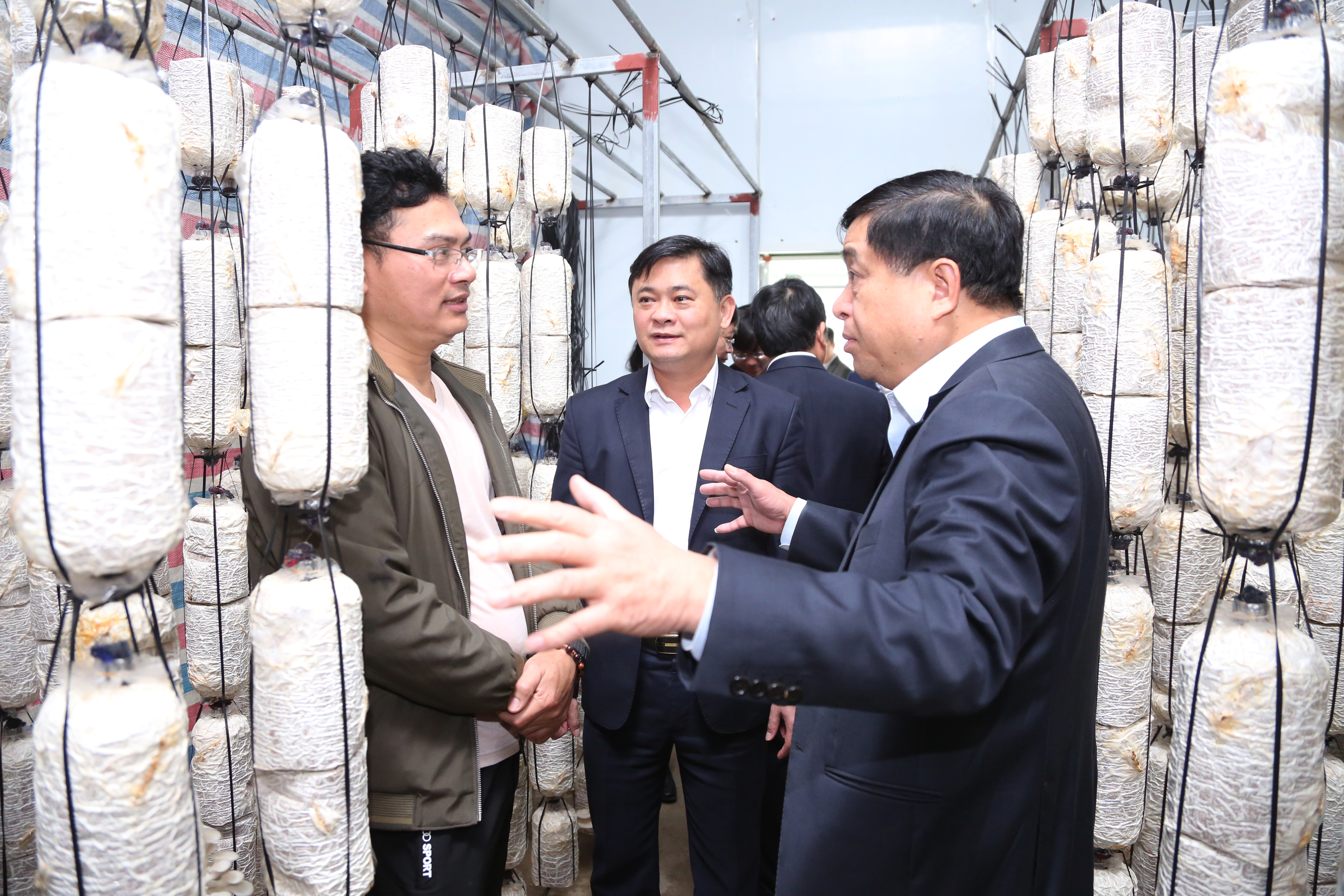 Bộ trưởng Nguyễn Chí Dũng và các đồng chí trong đoàn thăm mô hình làm nấm ở xã Thượng Tân Lộc
