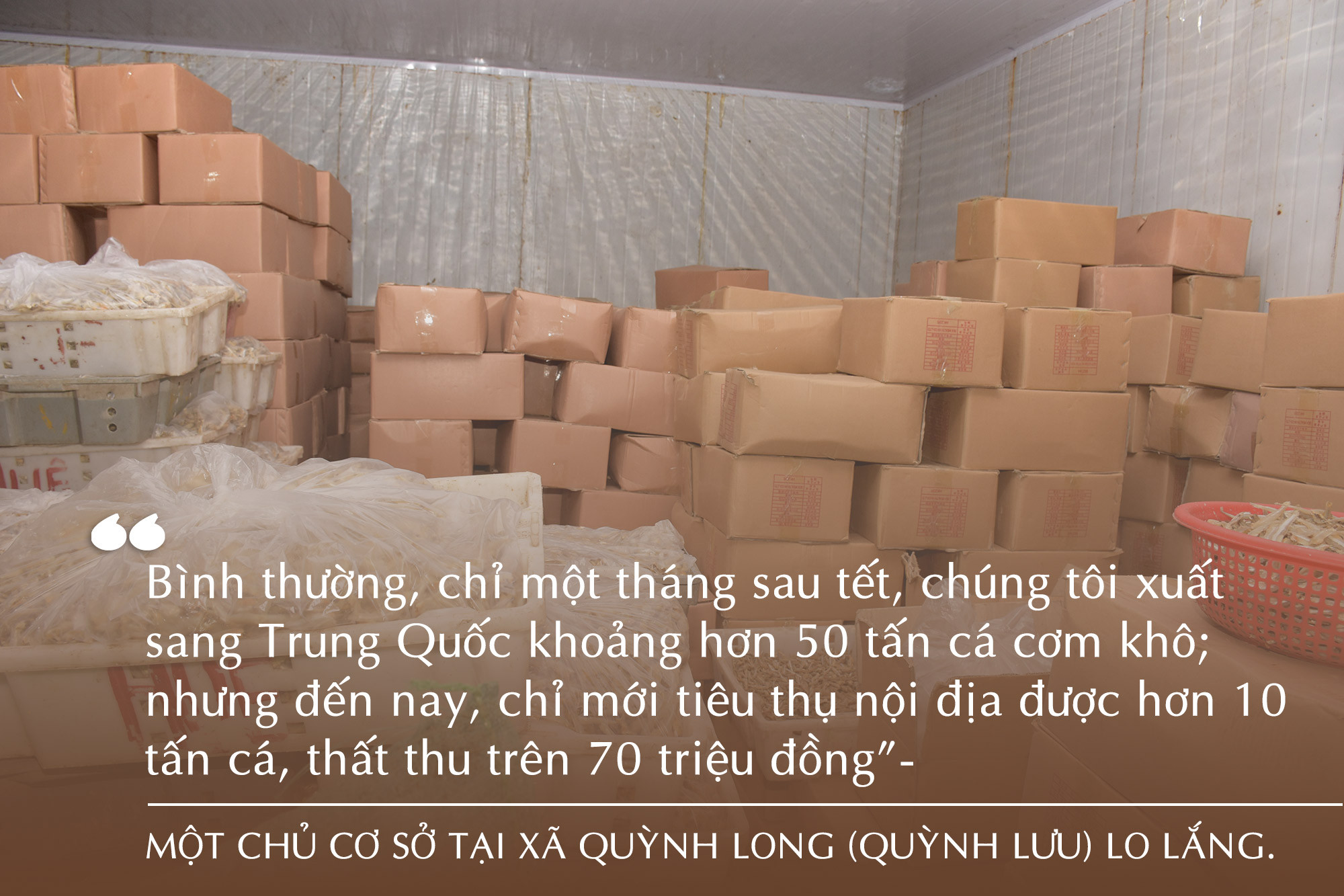 Tồn kho hải sản cấp đông ở xã Quỳnh Lâp, TX. Hoàng Mai. Ảnh: Thanh Yên