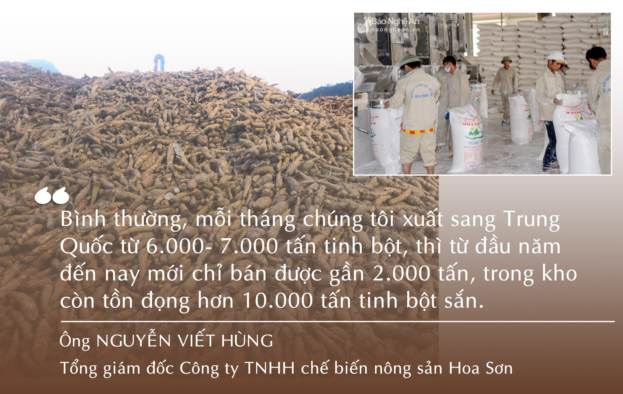 Sắn củ tồn động nhiều ở nhà máy chế biến tinh bột sắn Hoa Sơn. Ảnh: Trân Châu