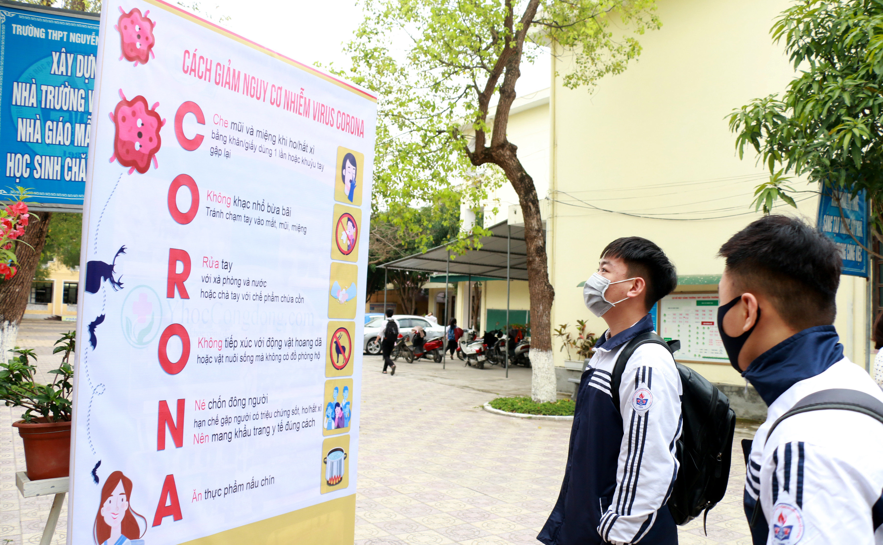 Học sinh Trường THPT Nguyễn Trường Tộ (TPV) tìm hiểu về cách phòng tránh dịch bệnh. Ảnh: Mỹ Hà
