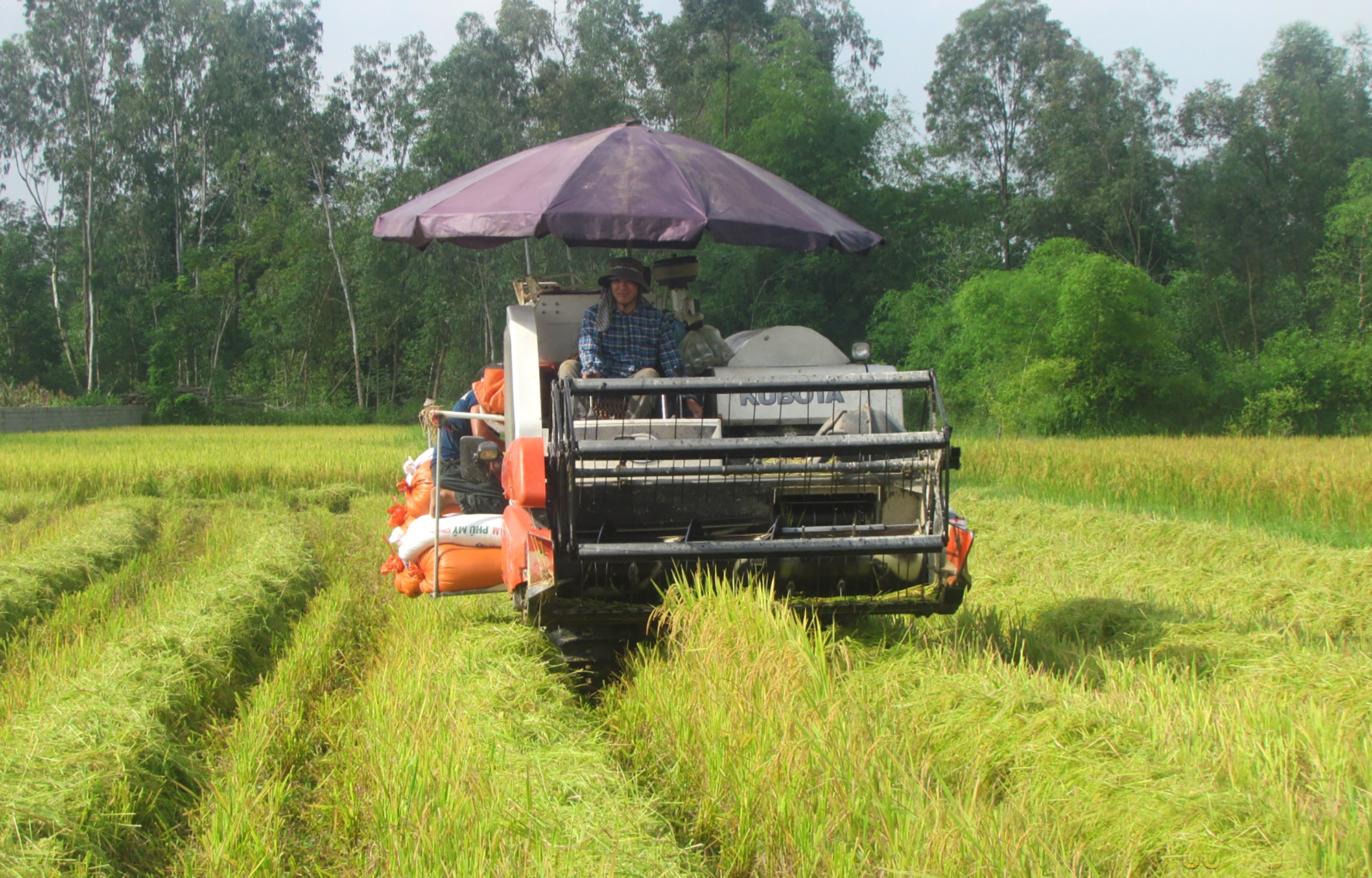 Nông dân Nghi Lộc sử dụng cơ giới hóa trong sản xuất lúa gạo. Ảnh: Phú Hương