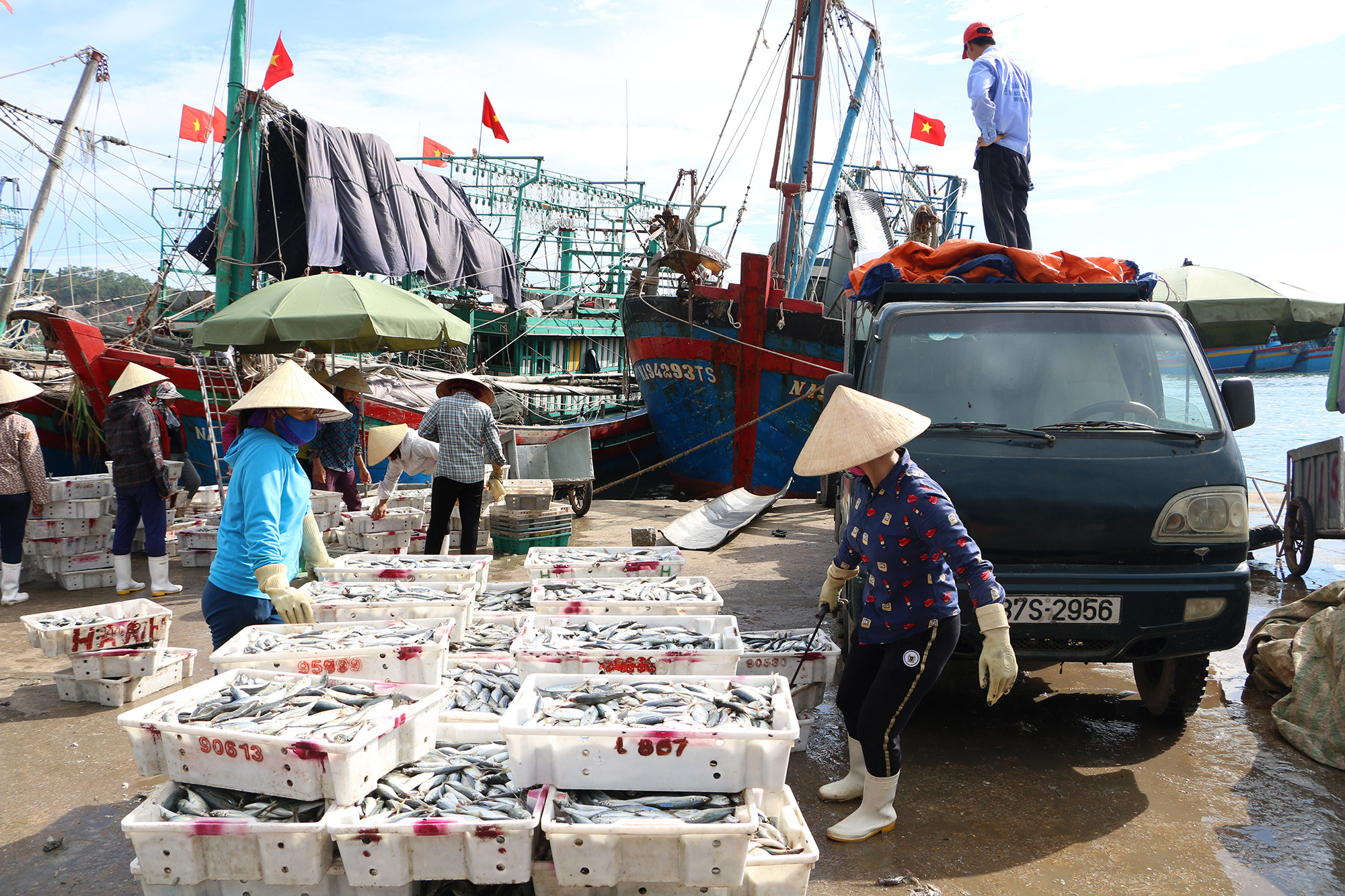 Tàu về bán cá tại bờ Nam cảng Lạch Quèn. Ảnh: Văn Hải