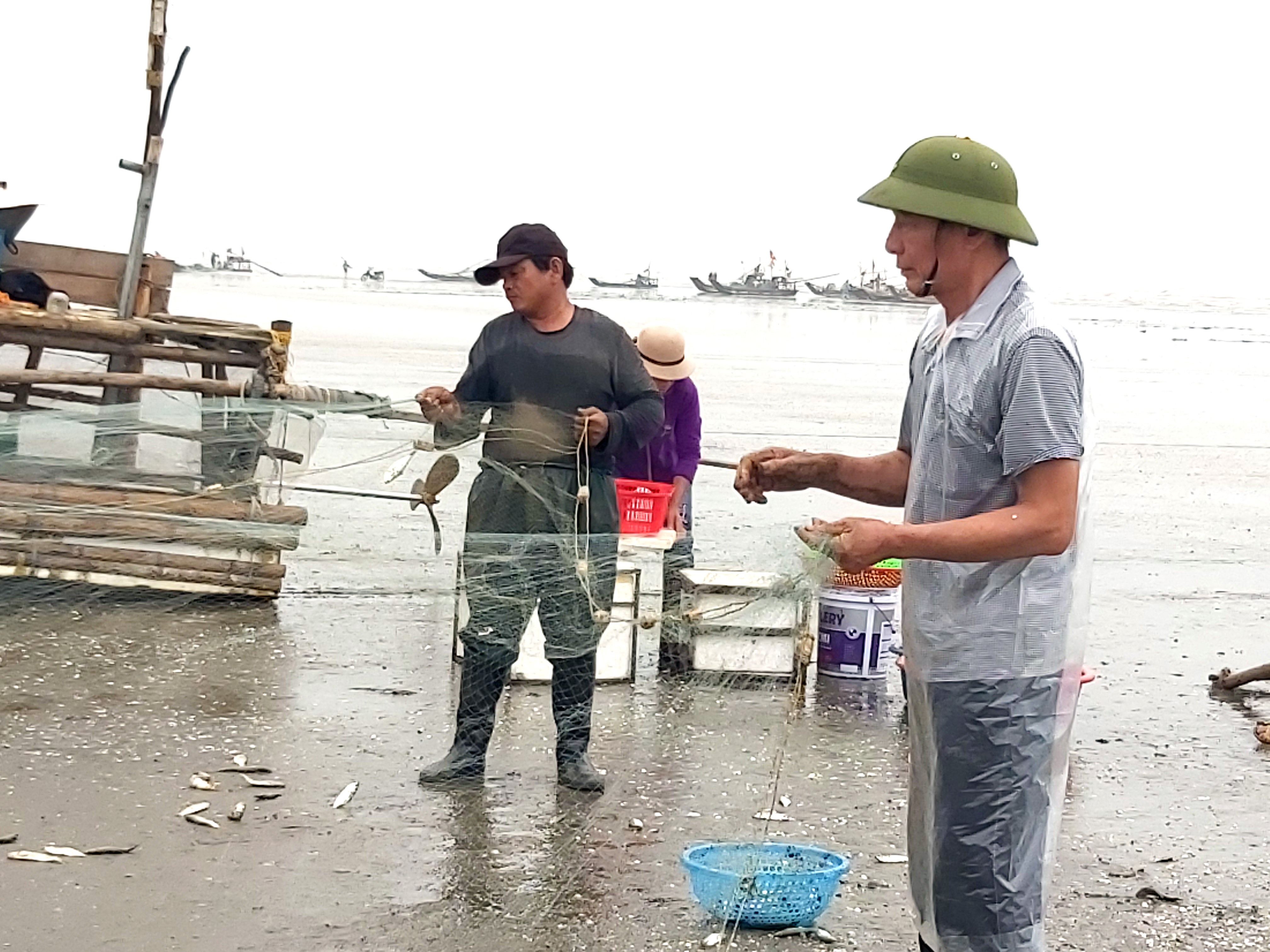 Ông Hà Văn Phú, ngư dân xã Diễn Kim cho biết, cá rớp có giá trị cao, nhưng ít khi đánh bắt được. Ảnh: Xuân Hoàng