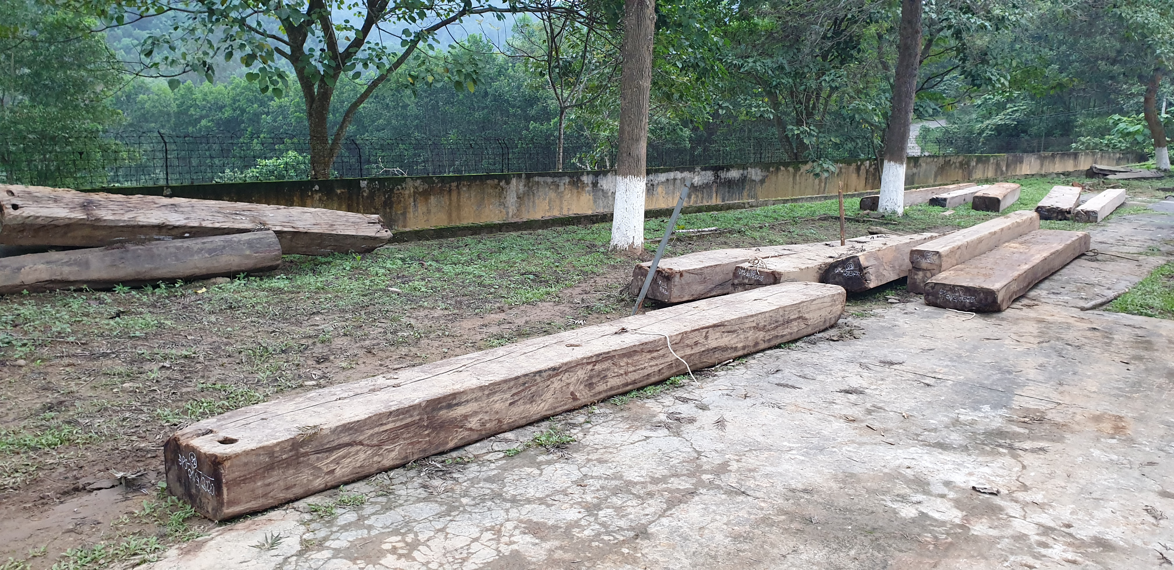 Hiện toàn bộ số gỗ trên đã được vận chuyển về Đồn Biên phòng Phúc Sơn bảo quản. Ảnh: Bùi Hồng Mạnh