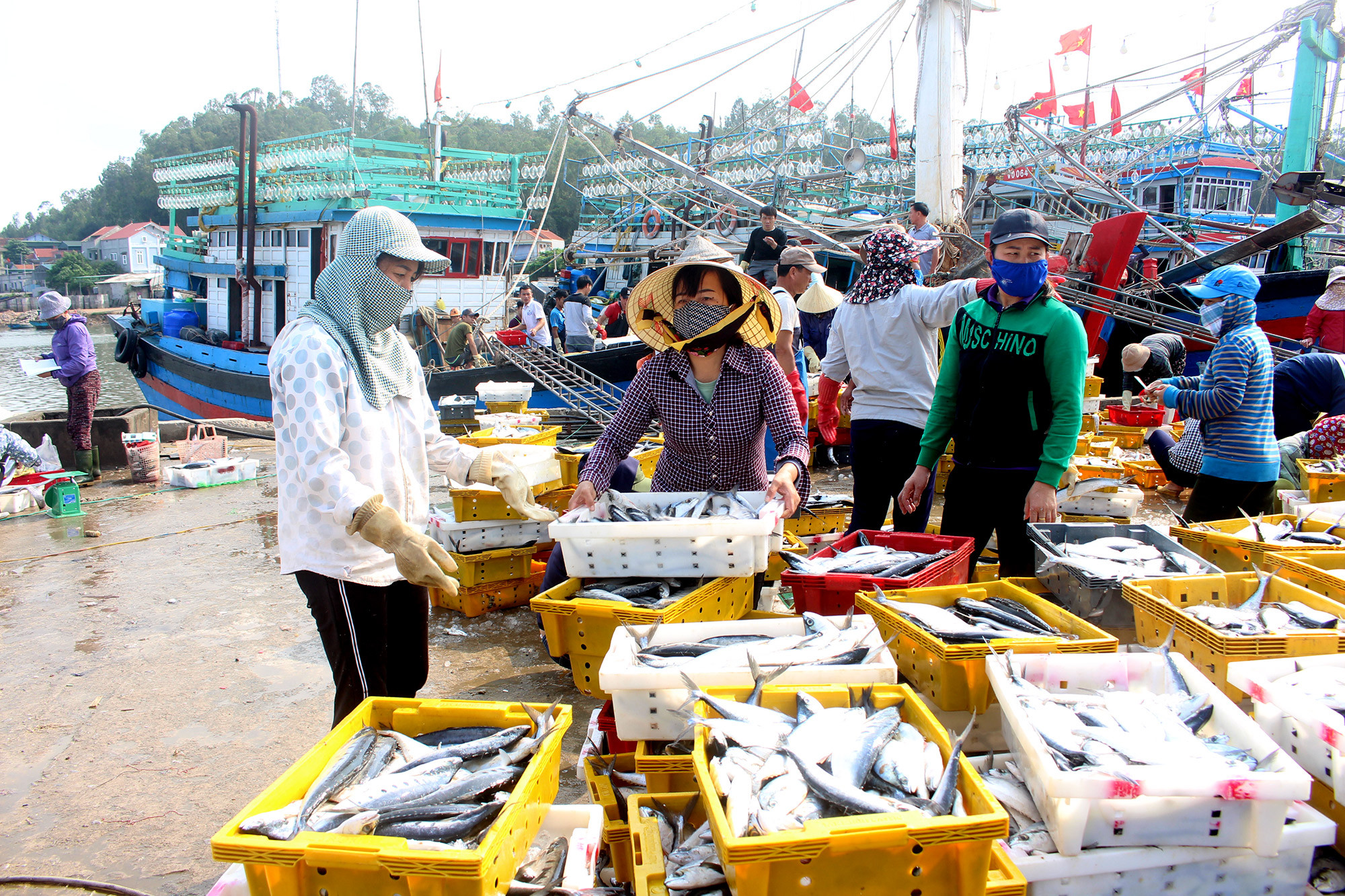 Tàu cá ngư dân Quỳnh Long (Quỳnh Lưu) về bờ mang nhiều tấn hải sản xuống bến. Ảnh Việt Hùng
