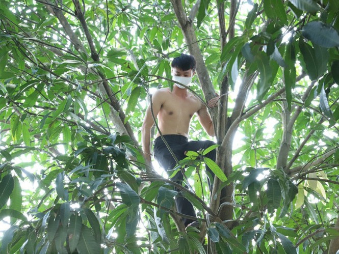 Nam thanh niên leo lên cây ẩn nấp suốt 7 tiếng. Ảnh: Công an cung cấp