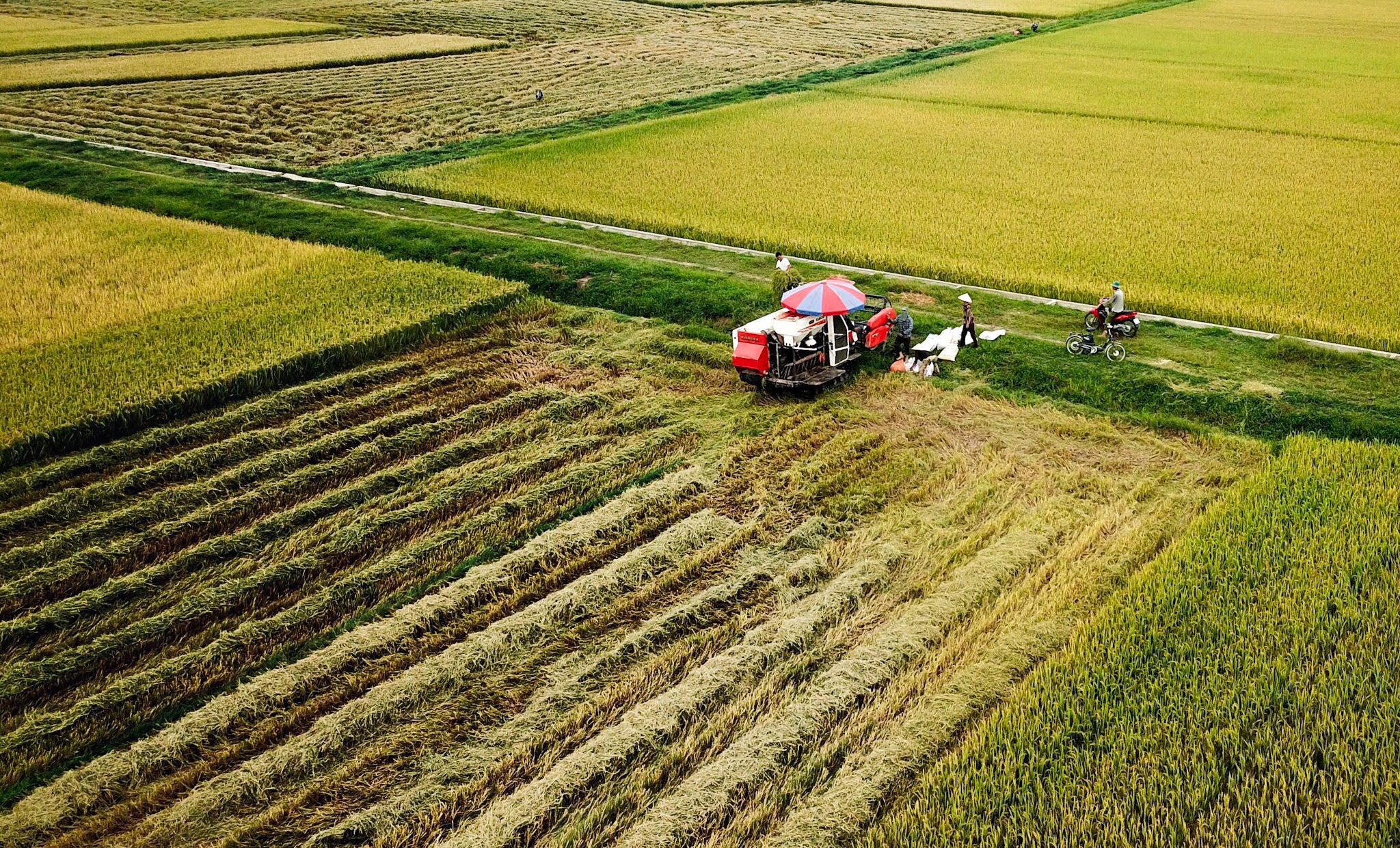 Nông dân Nam Đàn cơ giới hóa trong sản xuất nông nghiệp. Ảnh: Hải Vương