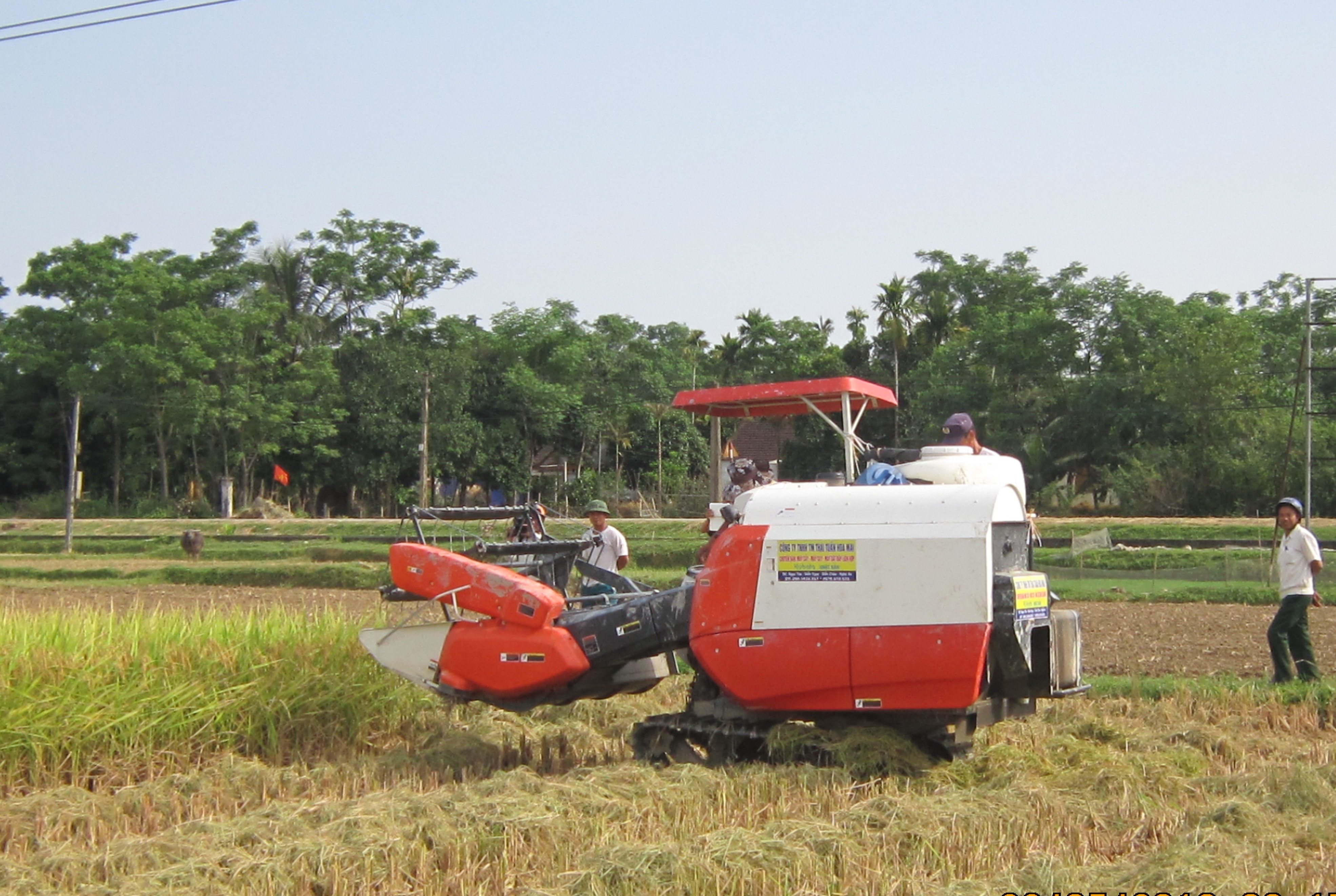 Xã Thanh Liên đã đưa cơ giới hóa vào sản xuất nông nghiệp từ khâu làm đất, gieo cấy và thu hoạch lúa. Ảnh: Mai Hoa