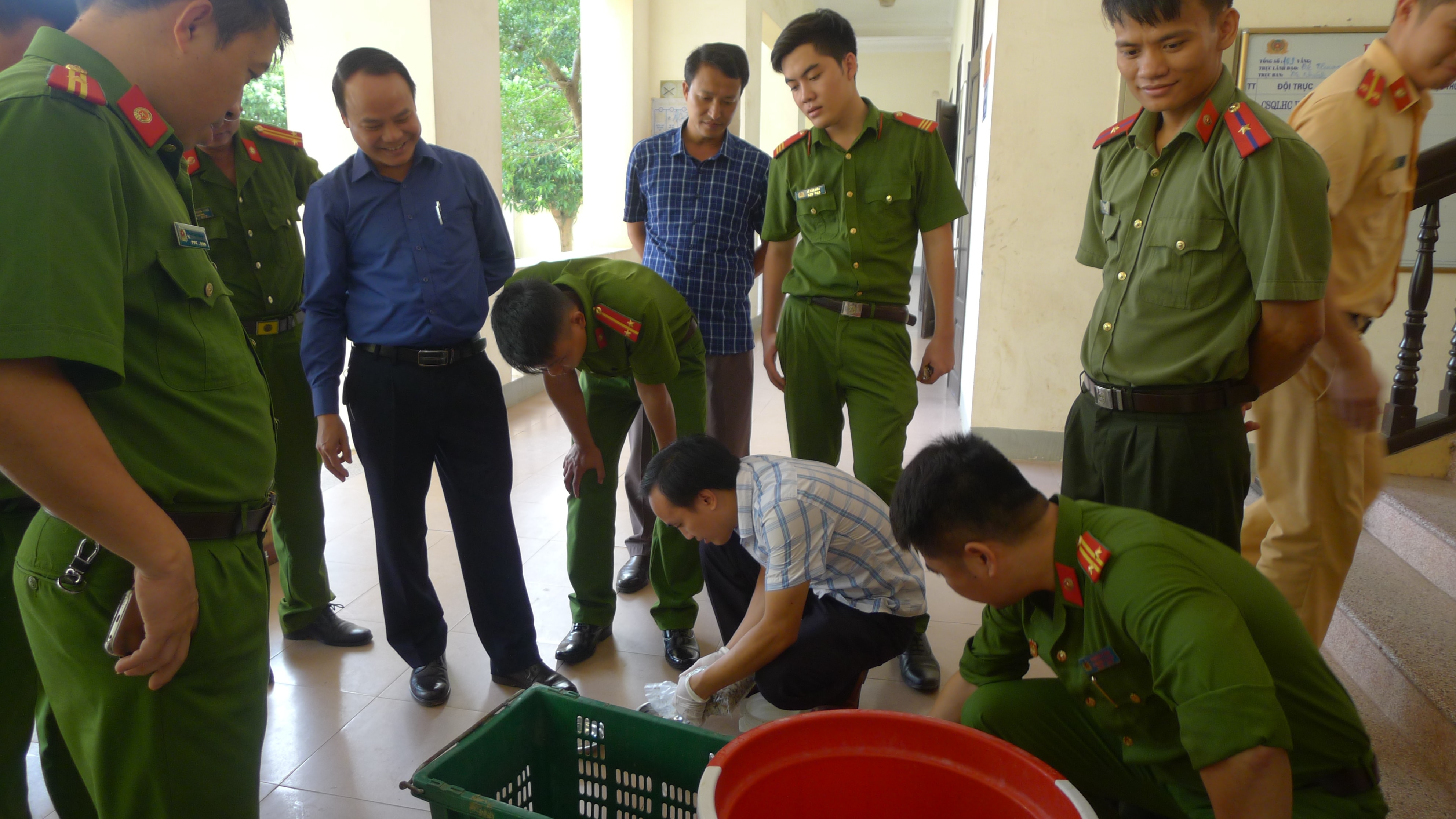 Công an huyện Anh Sơn bàn giao động vật hoang dã cho Vườn Quốc gia Pù Mát. Ảnh: TL