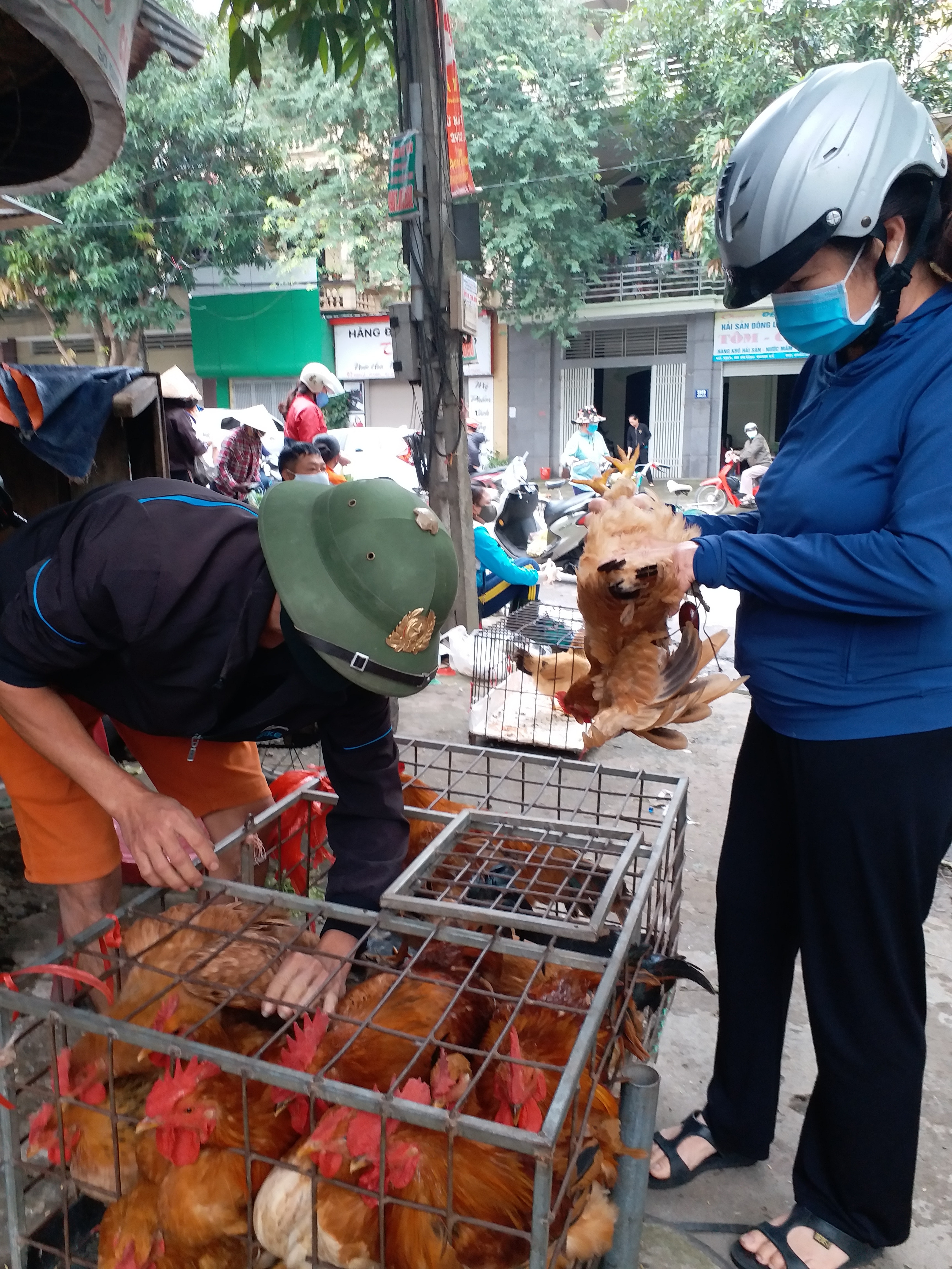 Gà thịt được tiêu thụ mạnh tại các chợ trên địa bàn TP Vinh. Ảnh: Thanh Phúc