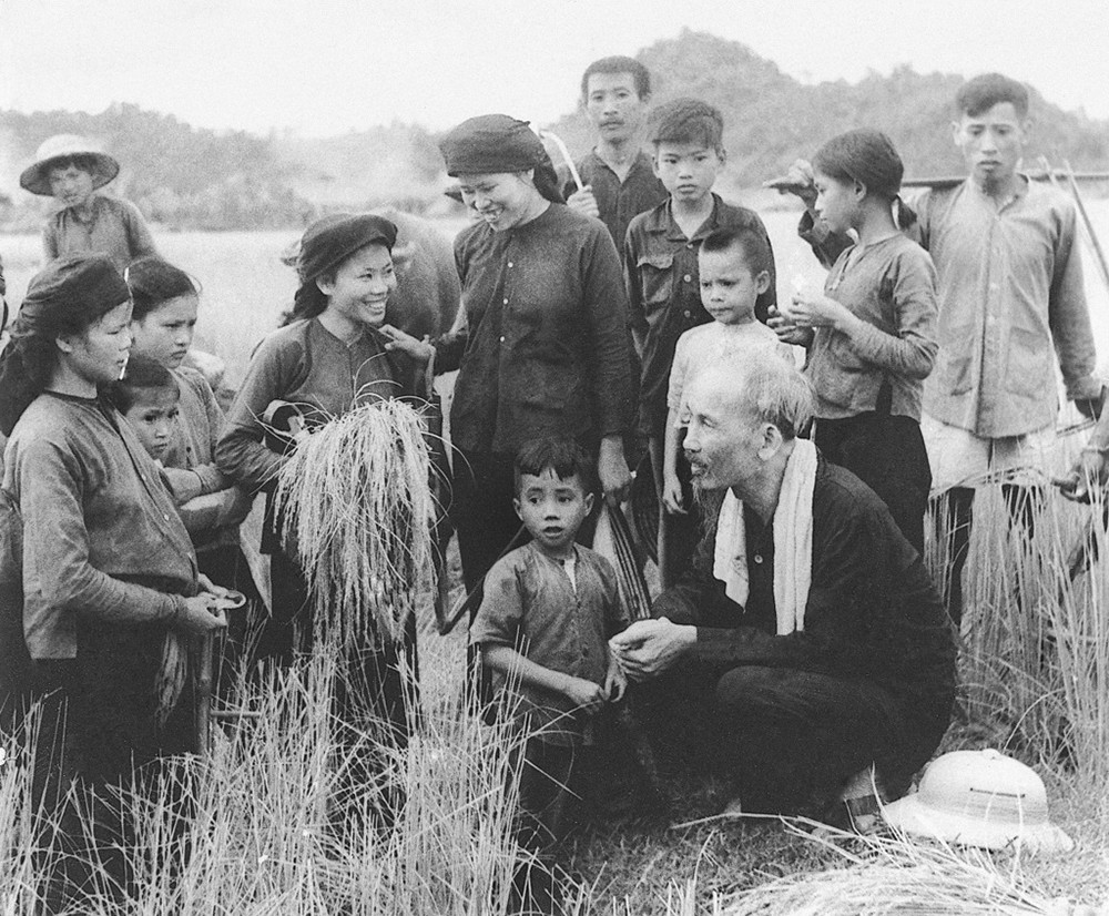 Chủ tịch Hồ Chí Minh thăm Hợp tác xã Hùng Sơn, huyện Đại Từ, tỉnh Thái Nguyên gặt mùa (1954). Ảnh tư liệu