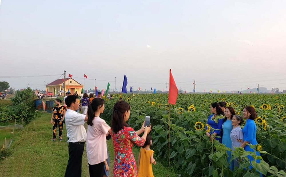 Dịp lễ 19/5 năm nay là mùa thứ 2 cánh đồng hoa Trung Kiên mở cửa đón khách. Trong dịp Tết nguyên đán vừa qua, nhà vườn đã đón hàng trăm lượt khách đến tham quan, trải nghiệm. 
