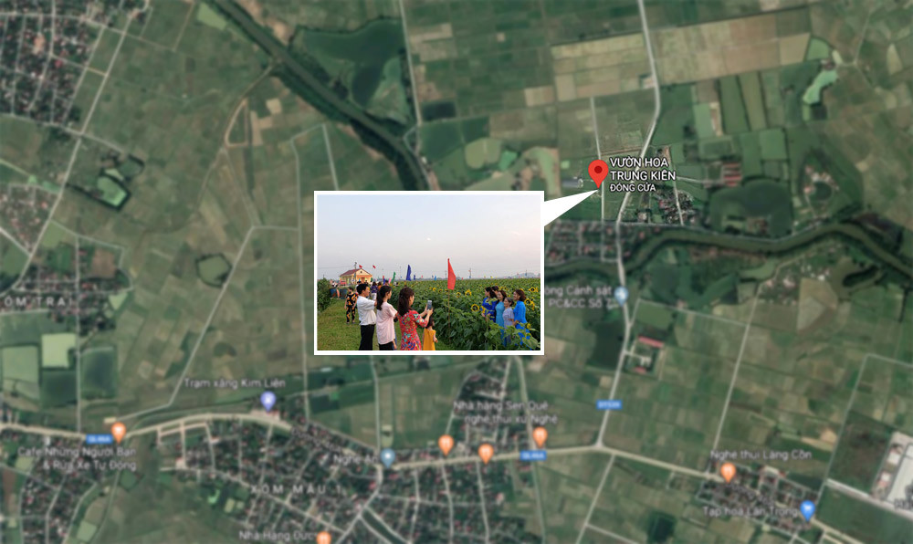 Cánh đồng hoa Trung Kiên xóm Liên Mậu 3, xã Kim Liên, Nam Đàn. Ảnh: GoogleMap