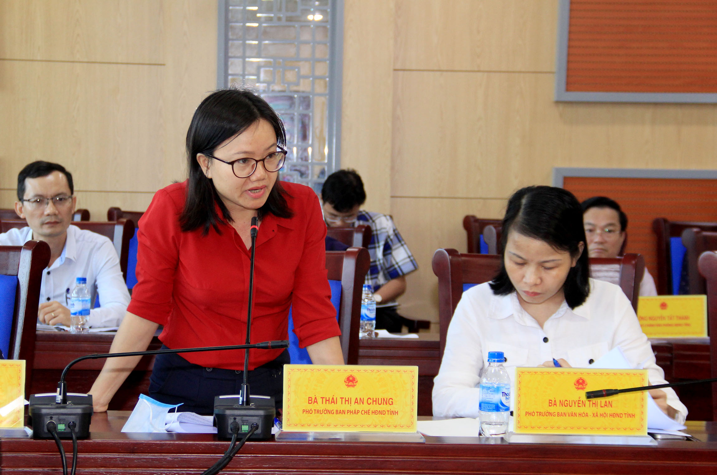 Bà Thái Thị An Chung - Phó trưởng Ban Pháp chế HĐND tỉnh đề nghị đánh giá chất lượng, hiệu quả các cuộc thanh tra của ngành Nông nghiệp trong thời gian qua. Ảnh: Phạm Bằng