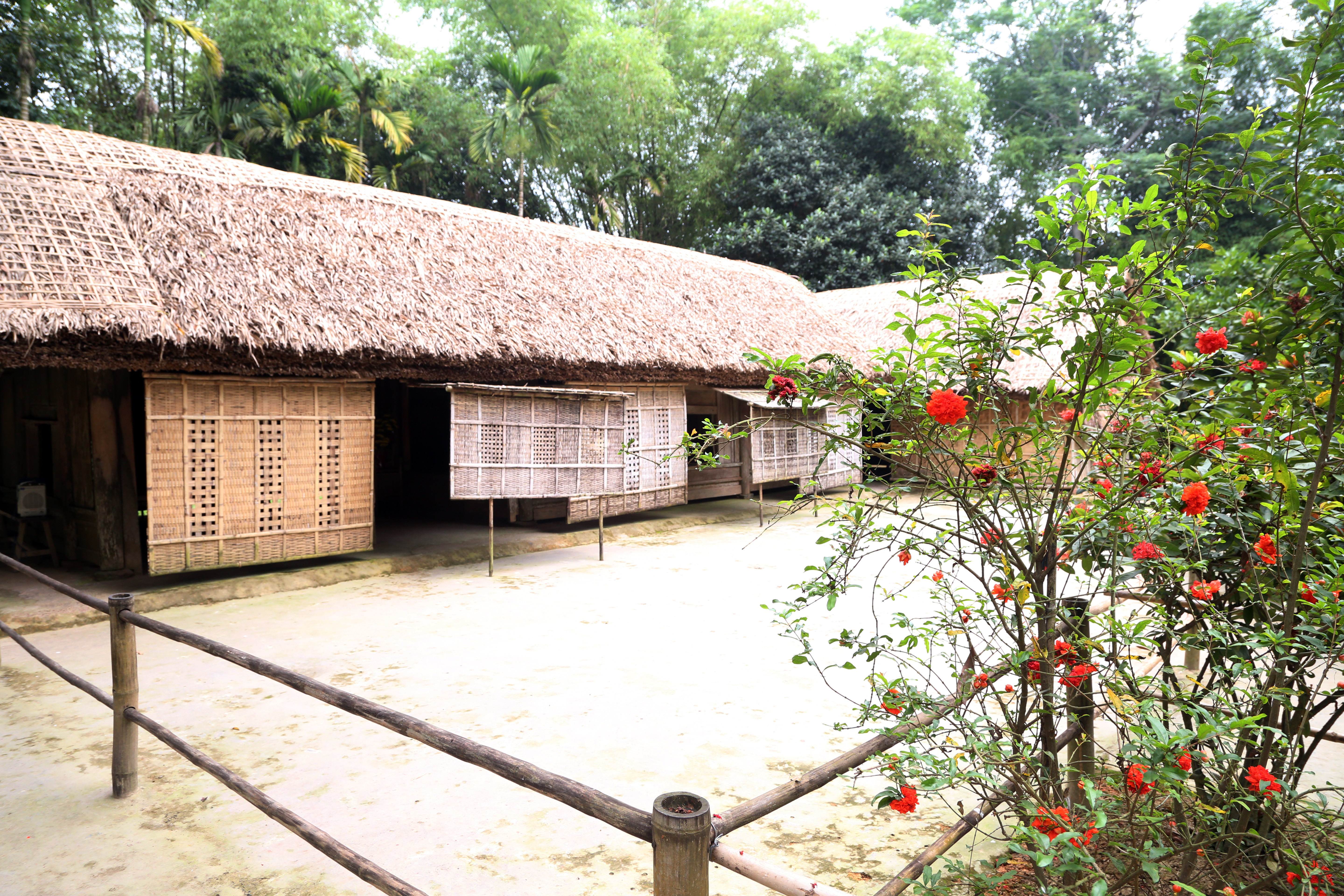 Ngôi nhà của cụ Phó bảng Nguyễn Sinh Sắc ở Làng Sen. Ảnh: Đào Tuấn 