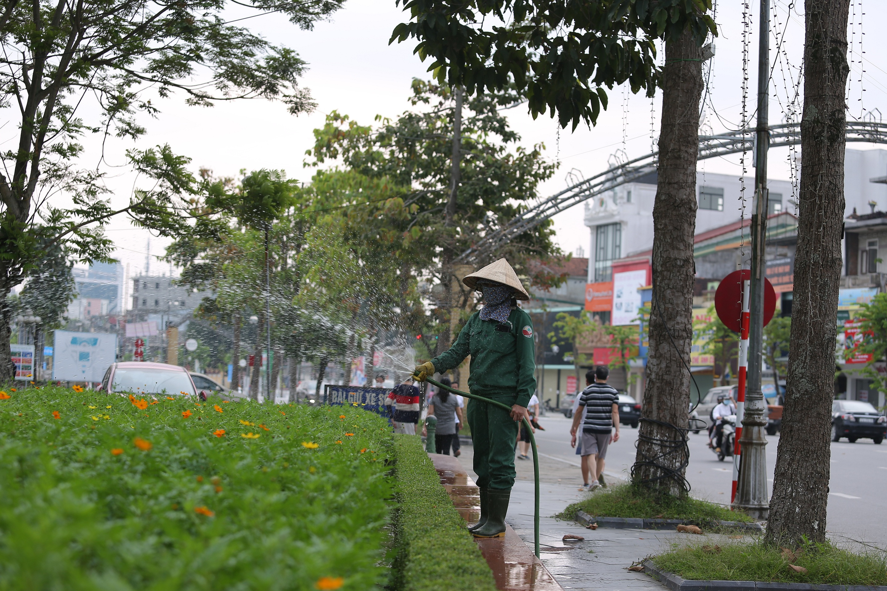 Chăm sóc cây xanh Quảng trường Hồ Chí Minh.