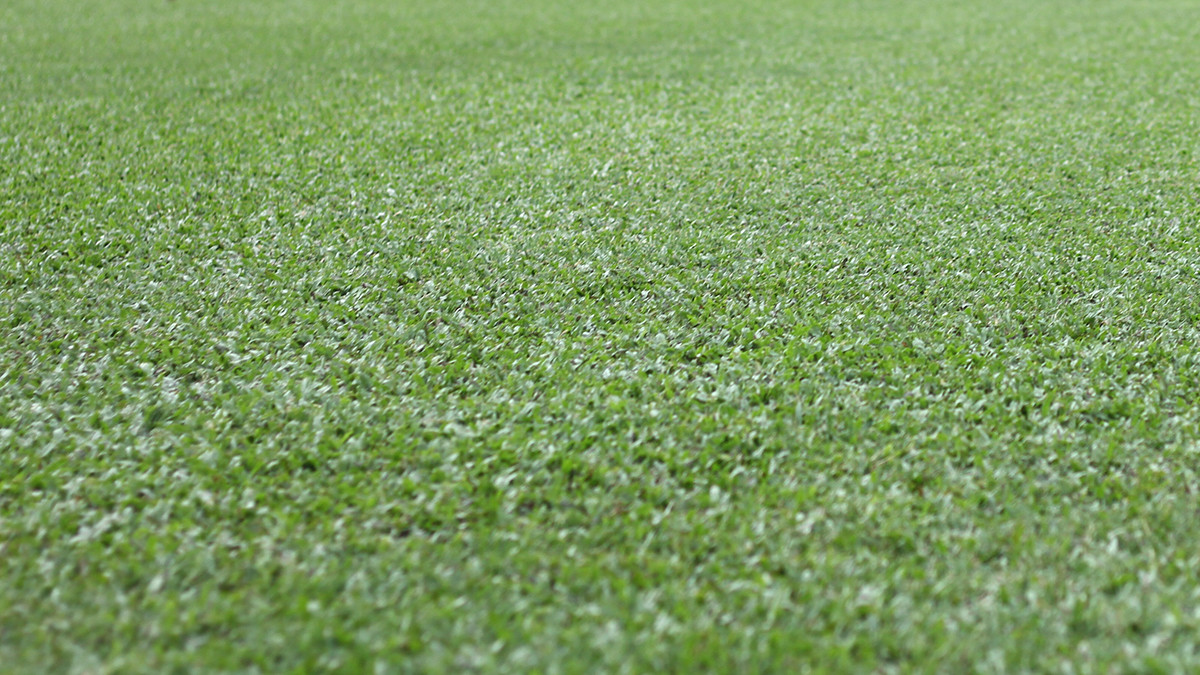 Những thảm cỏ mọc xanh và đều nhất nhờ được chăm sóc kỹ càng với công nghệ hiện đại. Ảnh: Trung Kiên