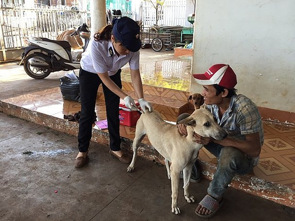 Đầu năm đến nay, ở Nghệ An đã có 5 người thiệt mạng do chó dại cắn. 