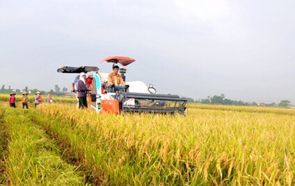 Huyện Nghĩa Đàn đã đưa 90 - 95% cơ giới vào sản xuất lúa Ảnh: Mai Hoa