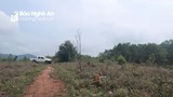 Giải trình trách nhiệm về những sai phạm tại các Ban quản lý rừng phòng hộ ở Nghệ An