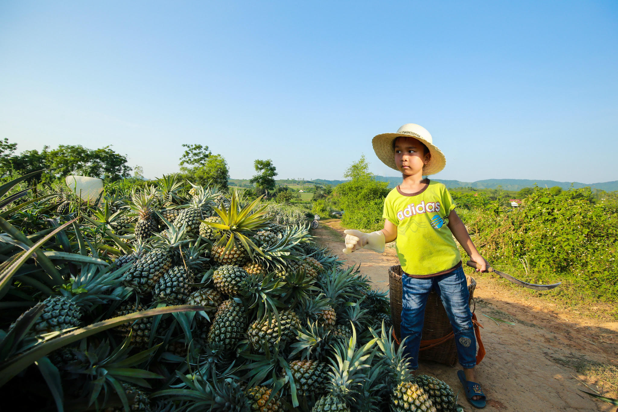 Cậu bé ra đồng giúp gia đình. Ảnh: Hải Vương