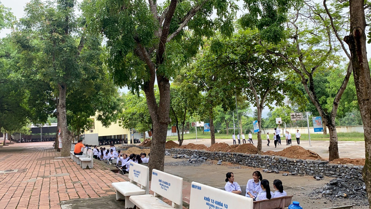 Rất nhiều trường học ở Nghệ An có cây xanh đã trồng lâu năm. Ảnh: Mỹ Hà