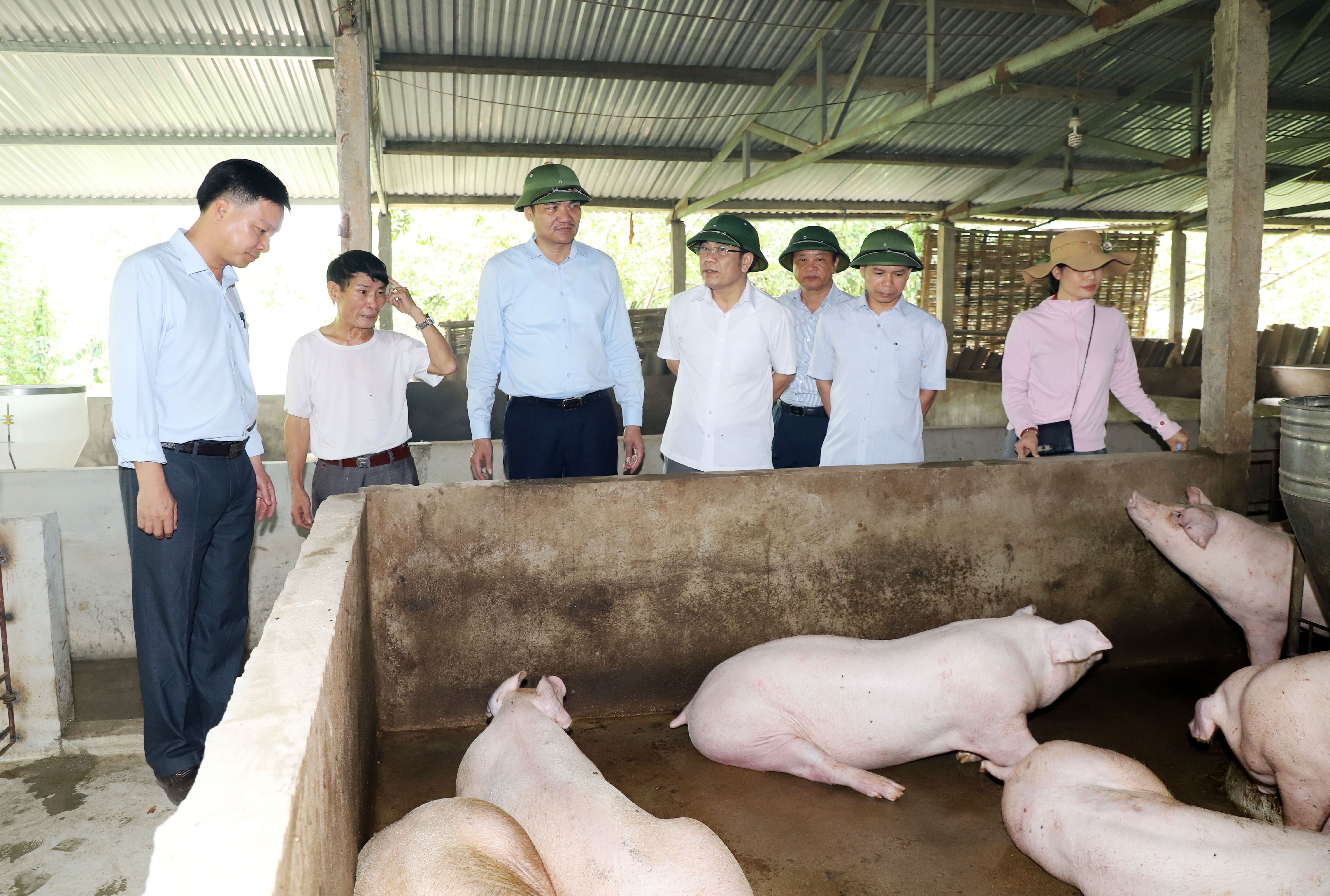 Đoàn cũng đến thăm trang trại chăn nuôi lợn của gia đình ông Nguyễn Ngọc Dũng tại bản Hòa Đông, thị trấn Thạch Giám. Ảnh: Phạm Bằng