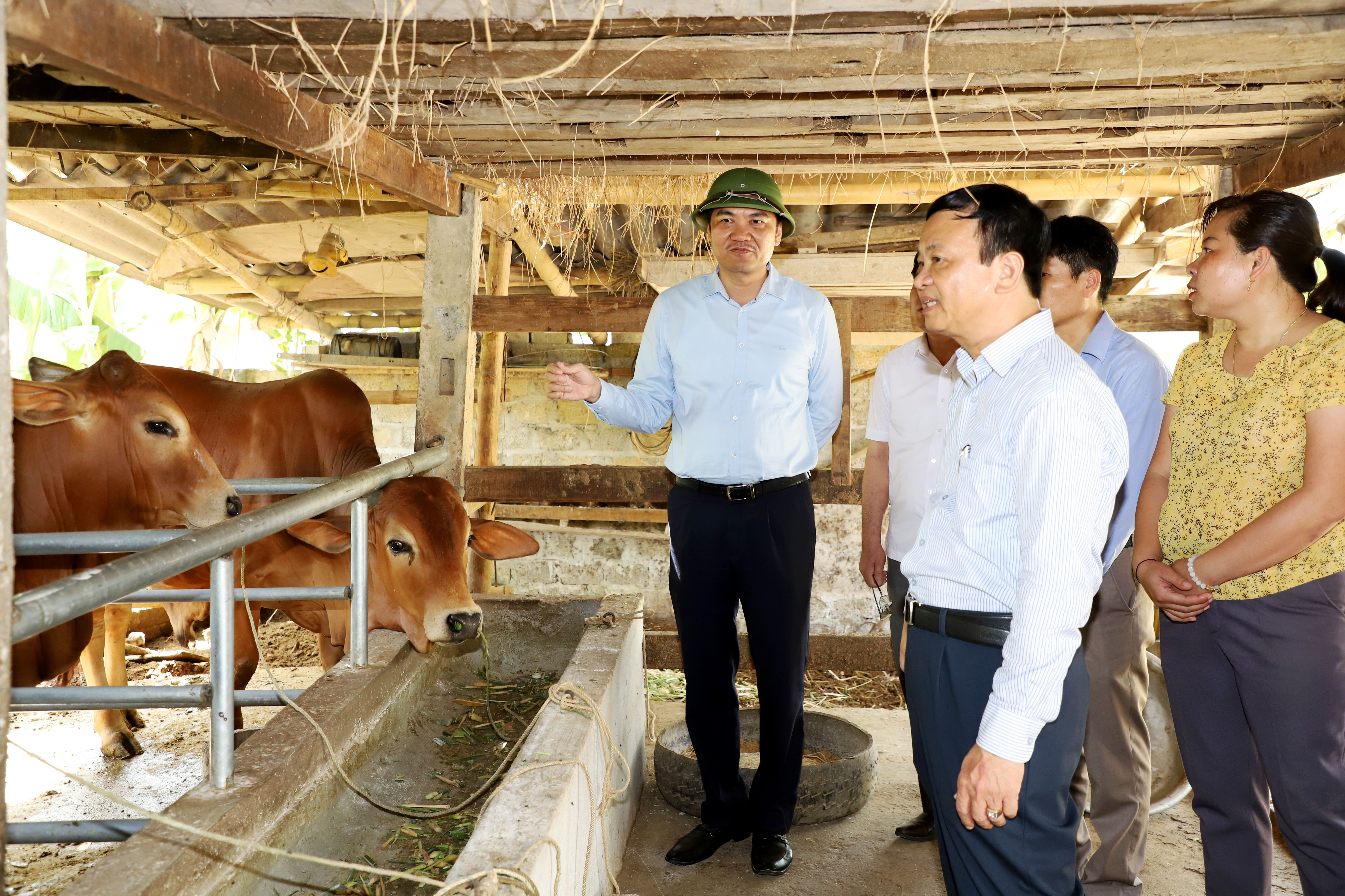 Phó Chủ tịch UBND tỉnh Hoàng Nghĩa Hiếu đã đến thăm mô hình nuôi bò nhốt của gia đình ông Nguyễn Hữu Duệ. Ảnh: Phạm Bằng