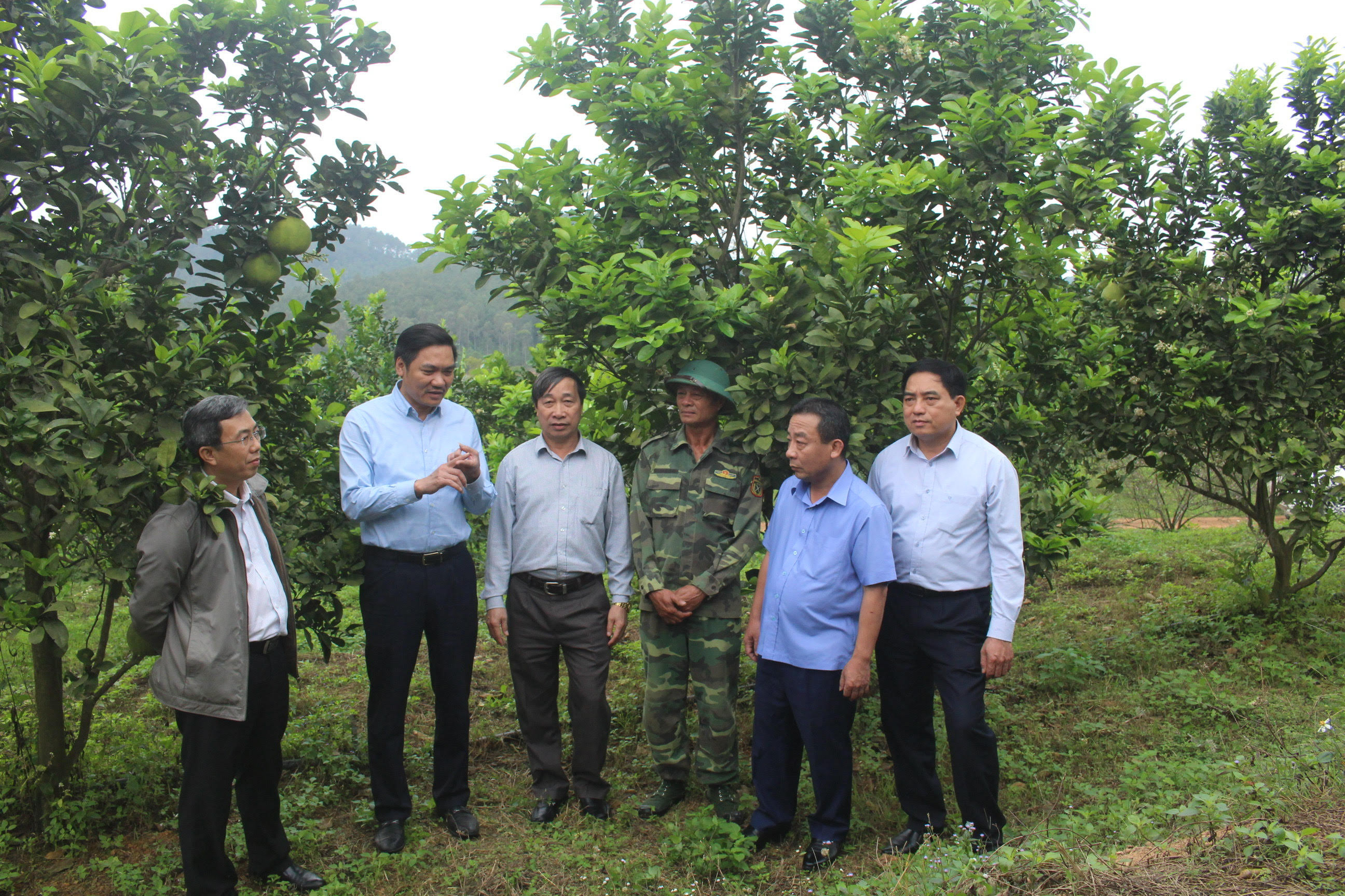 Lãnh đạo tỉnh, sở Nông nghiệp kiểm tra tình hình sản xuất ở cơ sở. Ảnh Phú Hương