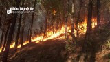 Cháy rừng thông ở huyện Diễn Châu