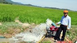 Hưng Nguyên: 3.000 ha lúa bị khô hạn